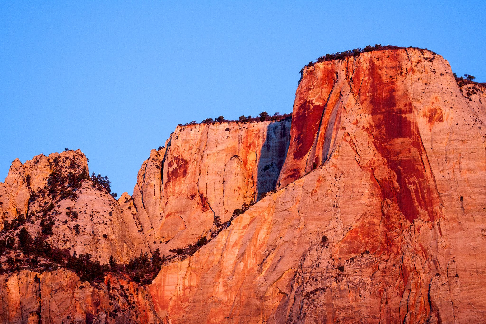 Canon EOS 50D + Canon EF 100-400mm F4.5-5.6L IS USM sample photo. Sunrise in the zion mountains photography