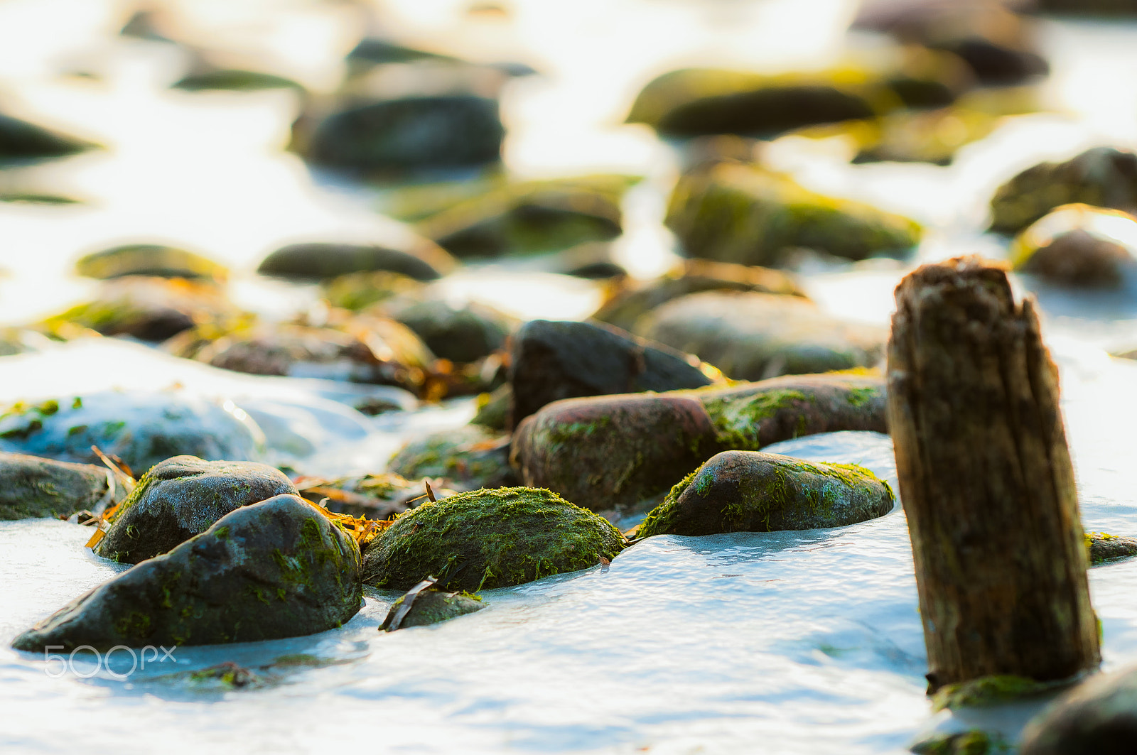 Nikon D300S sample photo. Frozen stone beach photography