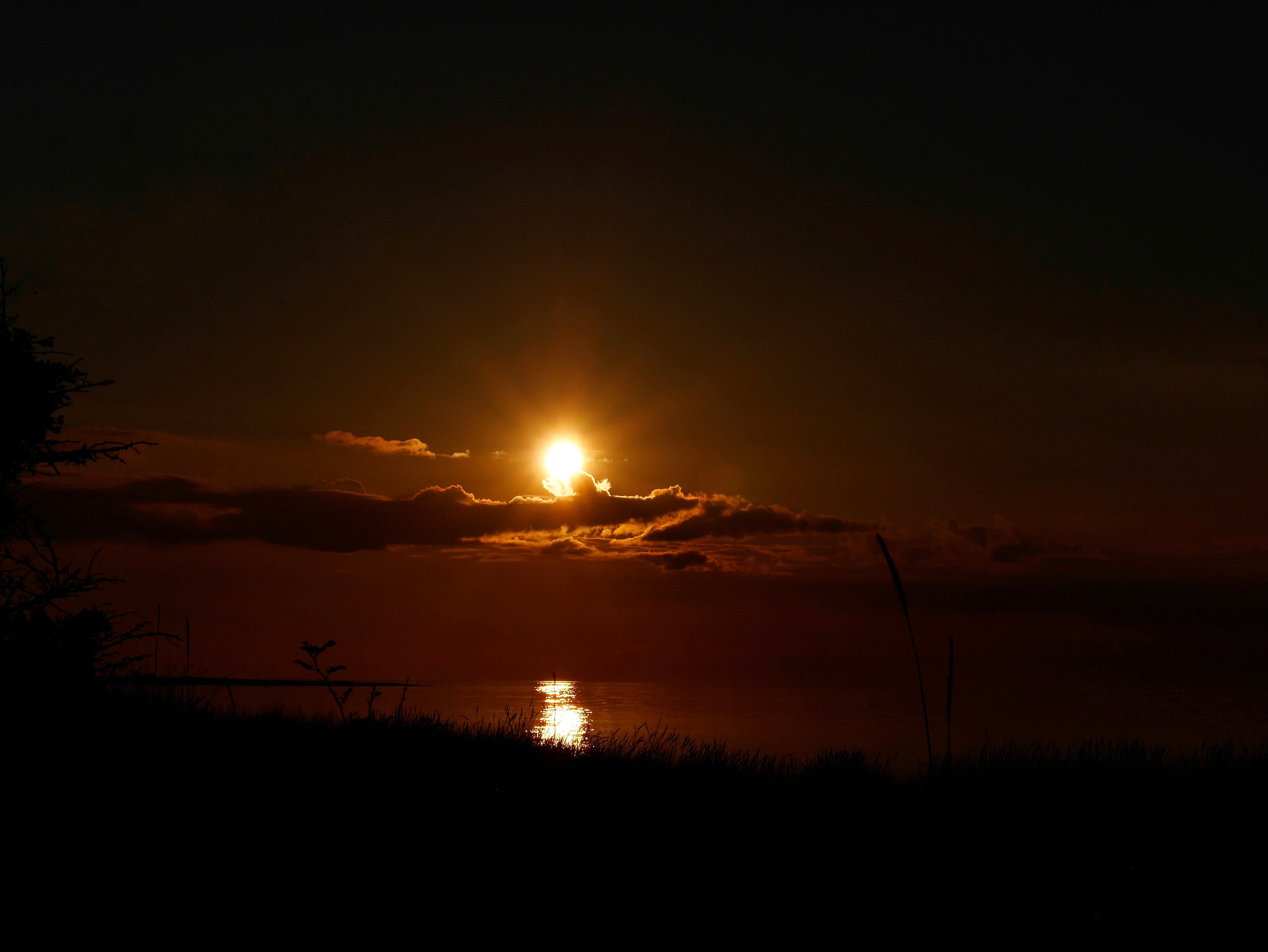 Panasonic Lumix DMC-GX7 + Olympus M.Zuiko Digital 45mm F1.8 sample photo. Küste fehmarn photography