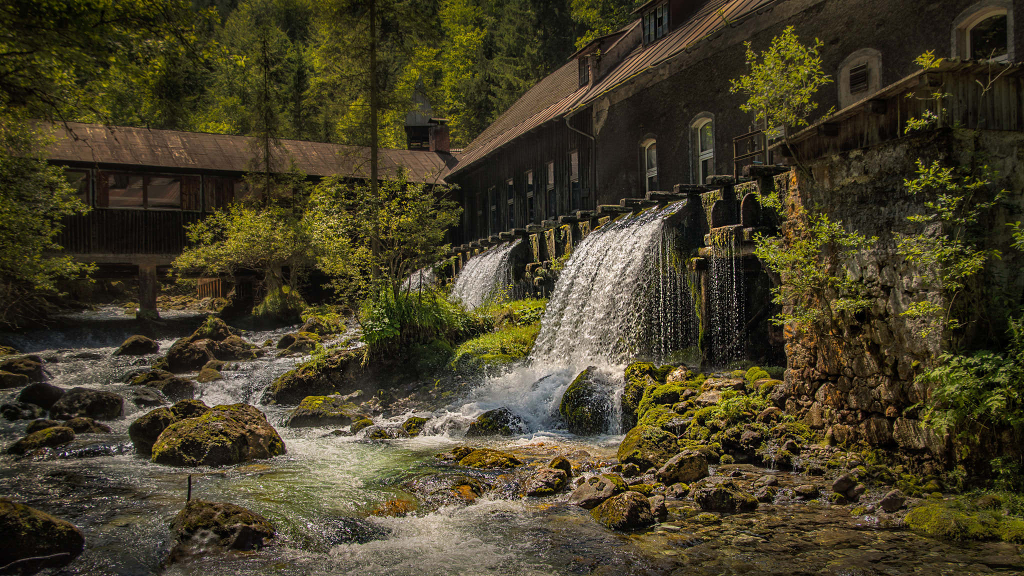 Nikon D7100 + Sigma 18-50mm F2.8 EX DC sample photo. Water for the scythes photography