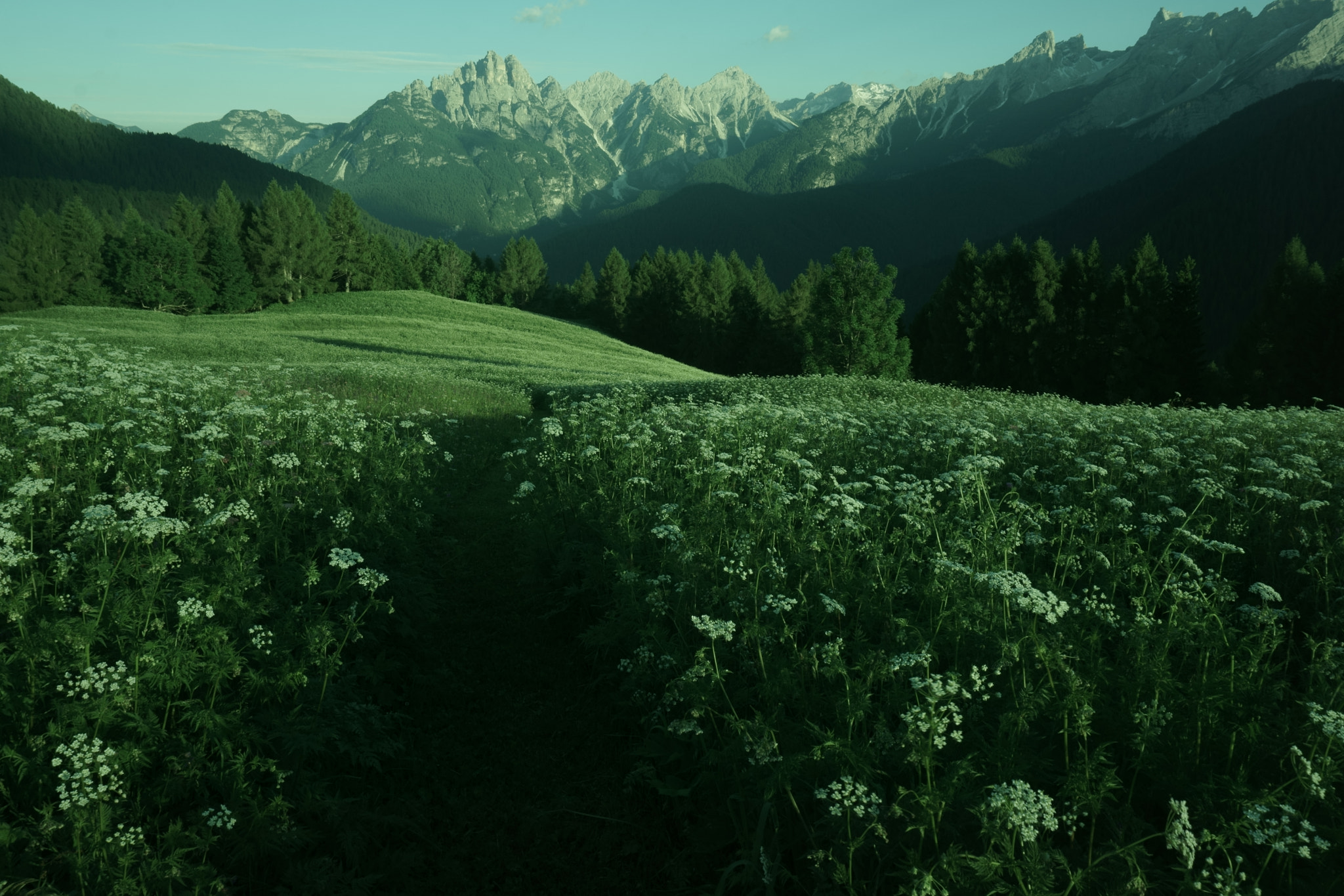 Sony E 16-50mm F3.5-5.6 PZ OSS sample photo. Oltre coi vecchia photography