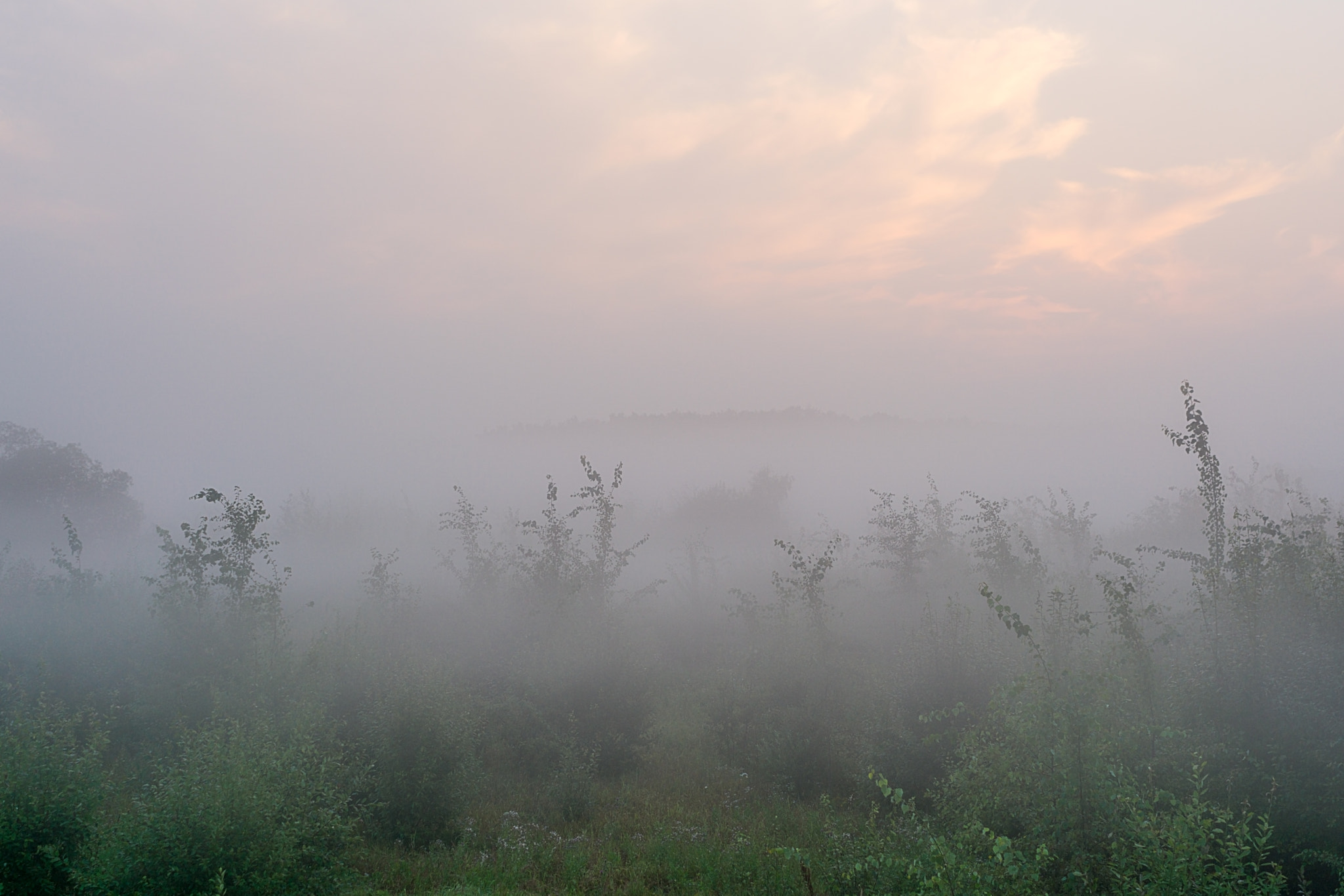 Sony FE 28mm F2 sample photo. Mist photography