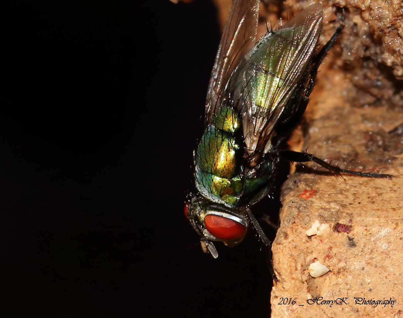 Canon 105mm sample photo. Looking into the black hole photography