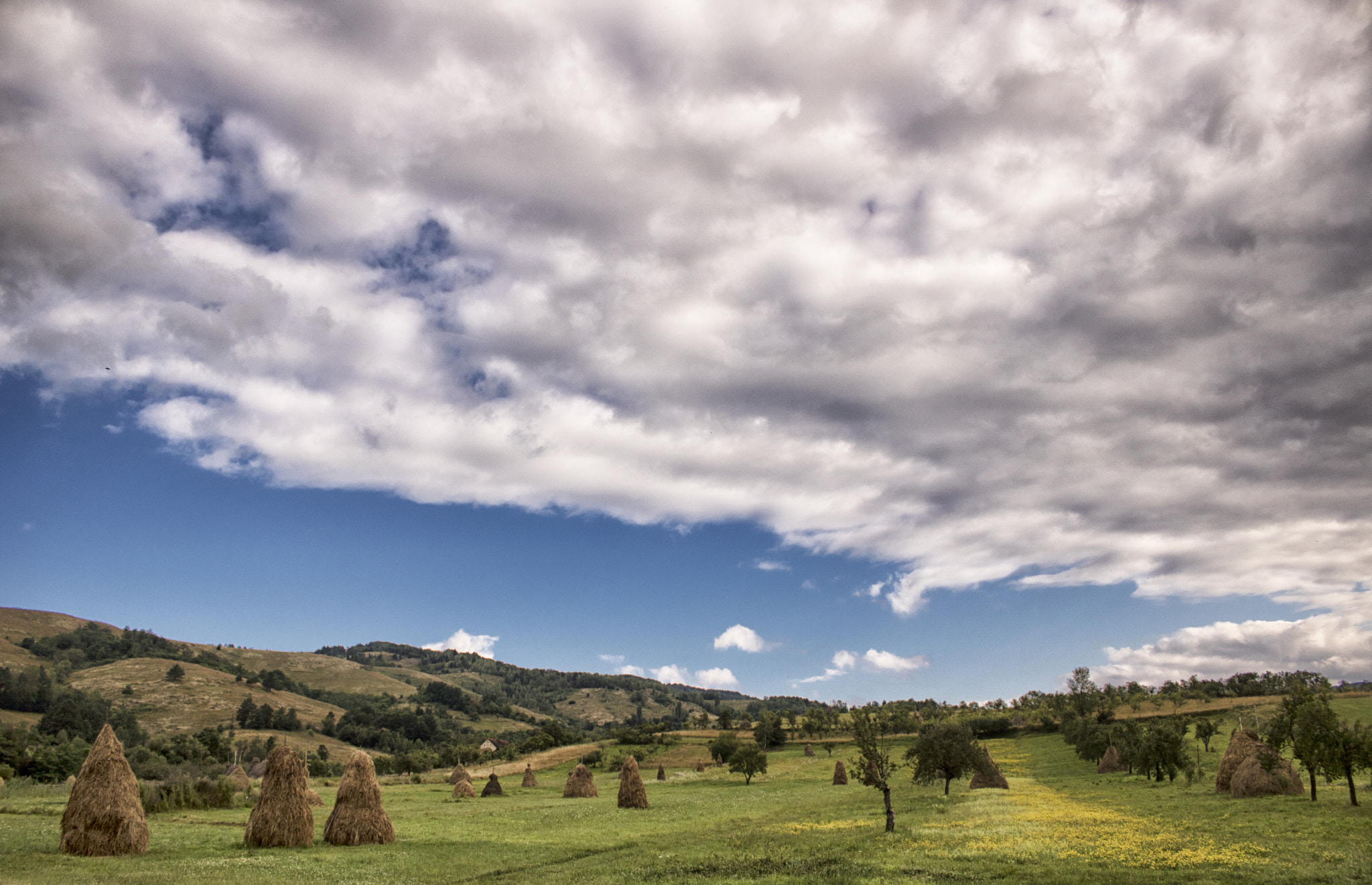 Canon EOS 750D (EOS Rebel T6i / EOS Kiss X8i) sample photo. Rural land photography