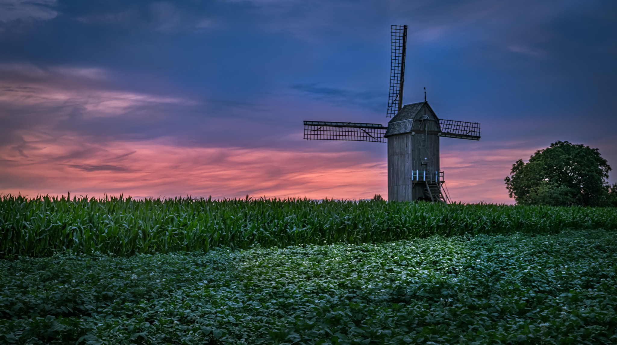 Tamron AF 28-75mm F2.8 XR Di LD Aspherical (IF) sample photo. Schietsjampettermolen ii photography