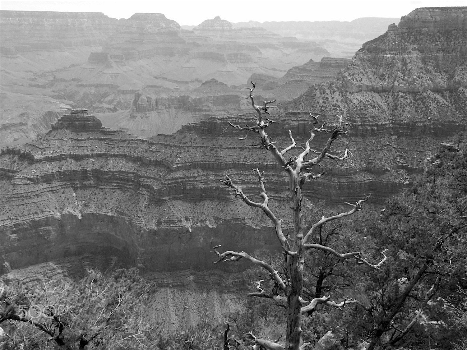 KONICA MINOLTA DiMAGE 7 sample photo. Grand canyon - august 2004 photography