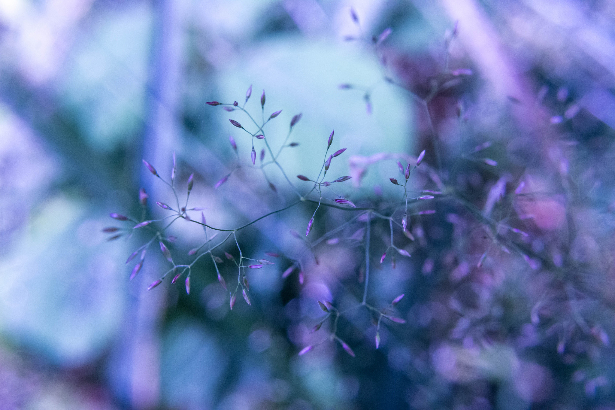 Canon EF 28mm F2.8 IS USM sample photo. Magical moments photography