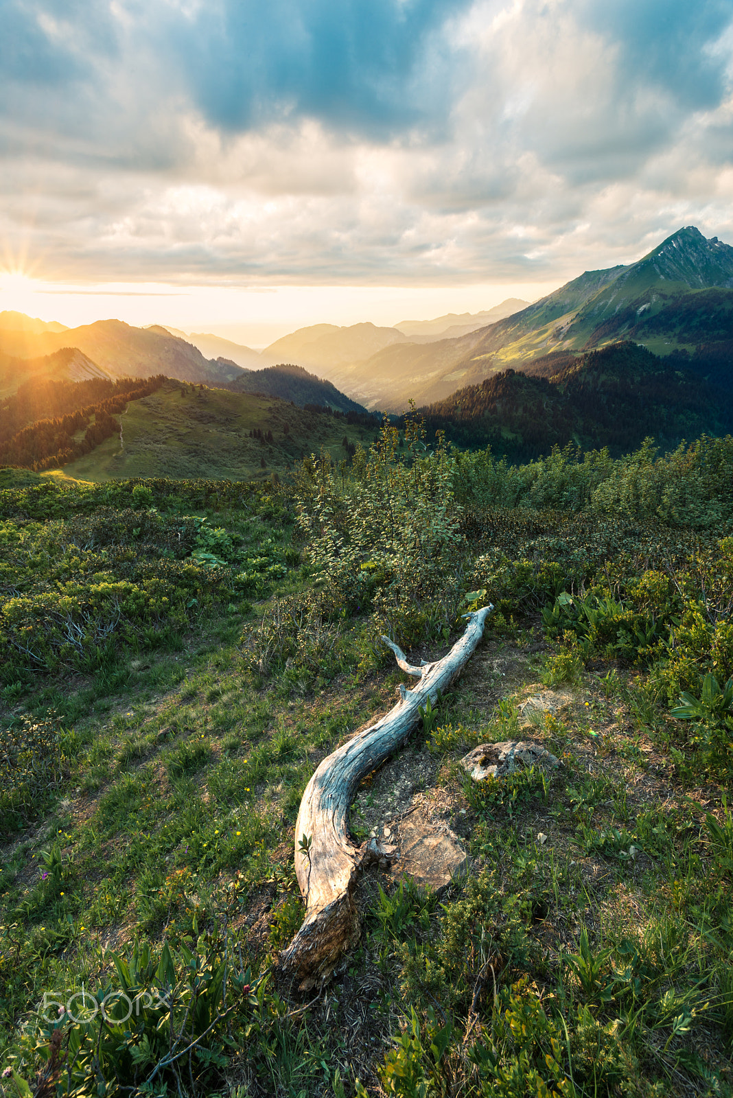 Nikon D600 sample photo. Last light over abondance photography