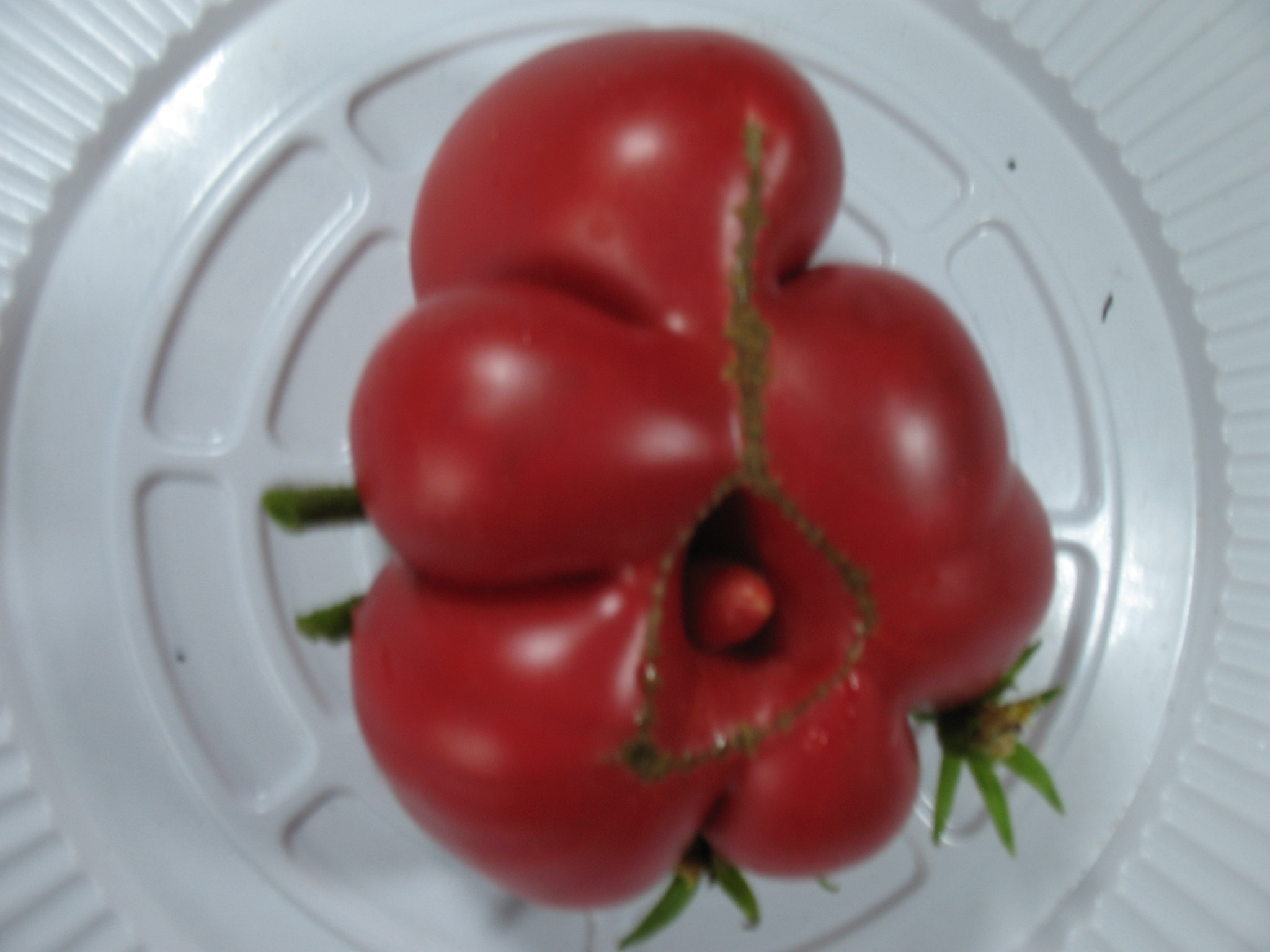 Canon POWERSHOT A630 sample photo. Interesting fruit tomato. photography