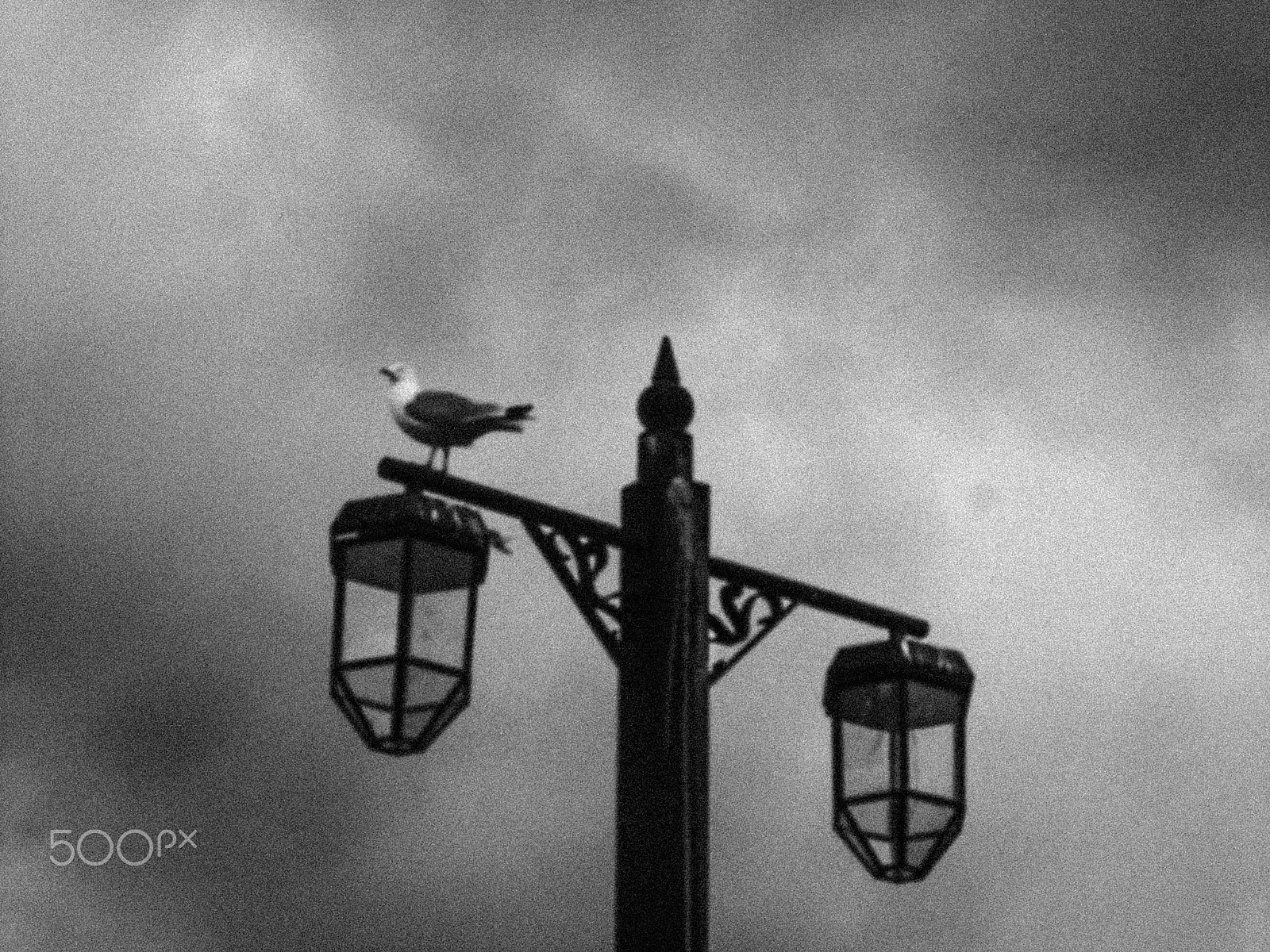 KONICA MINOLTA DiMAGE 7Hi sample photo. Sky high photography