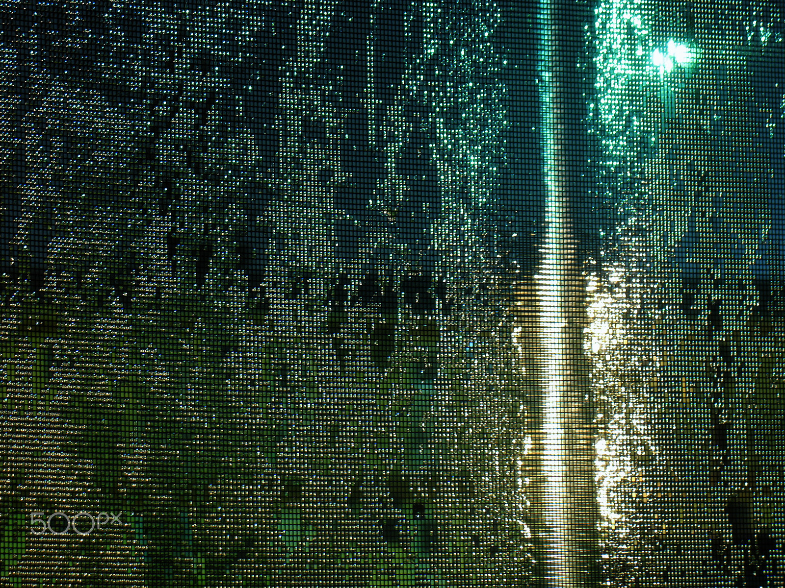Canon POWERSHOT A630 sample photo. November rain photography