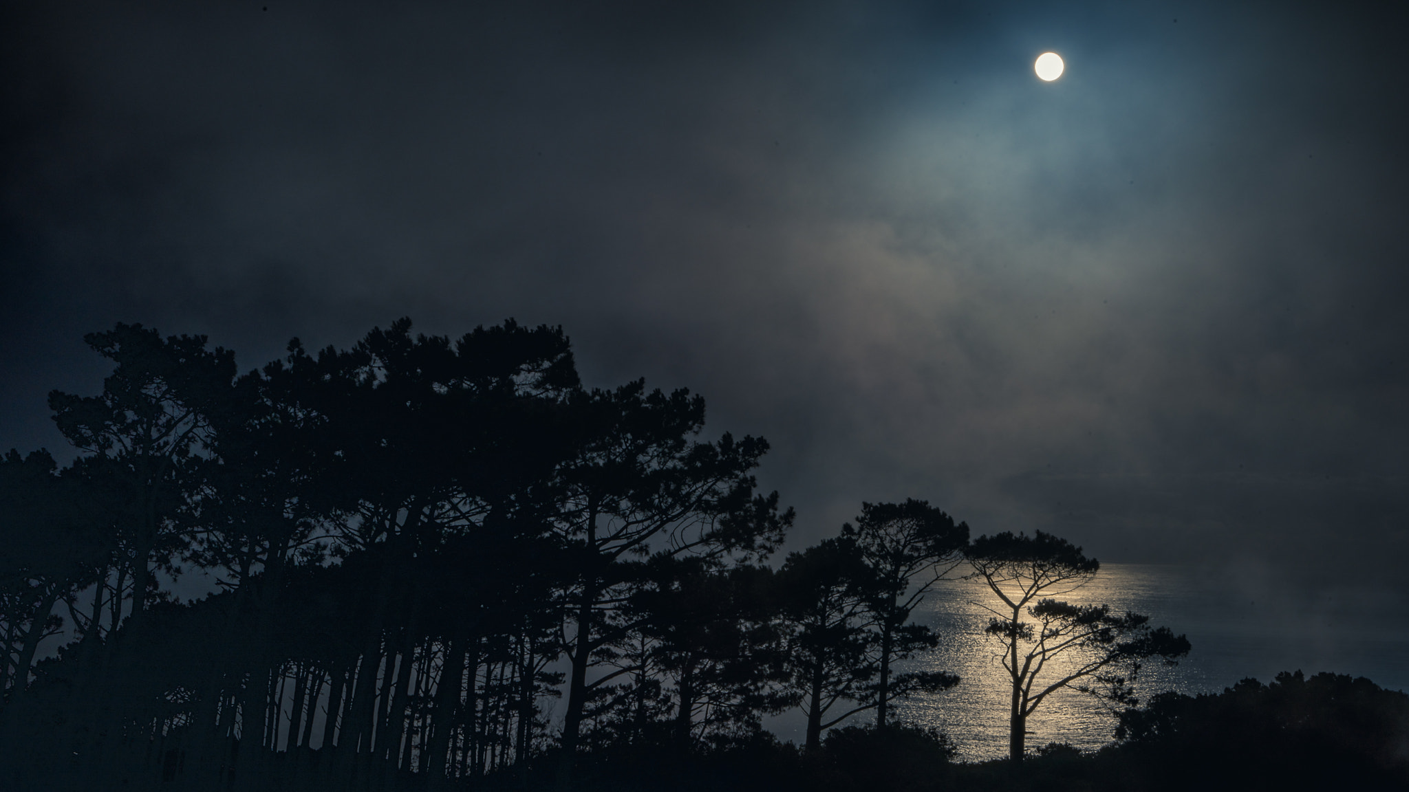Sony a99 II + Sony 28-75mm F2.8 SAM sample photo. The fog photography