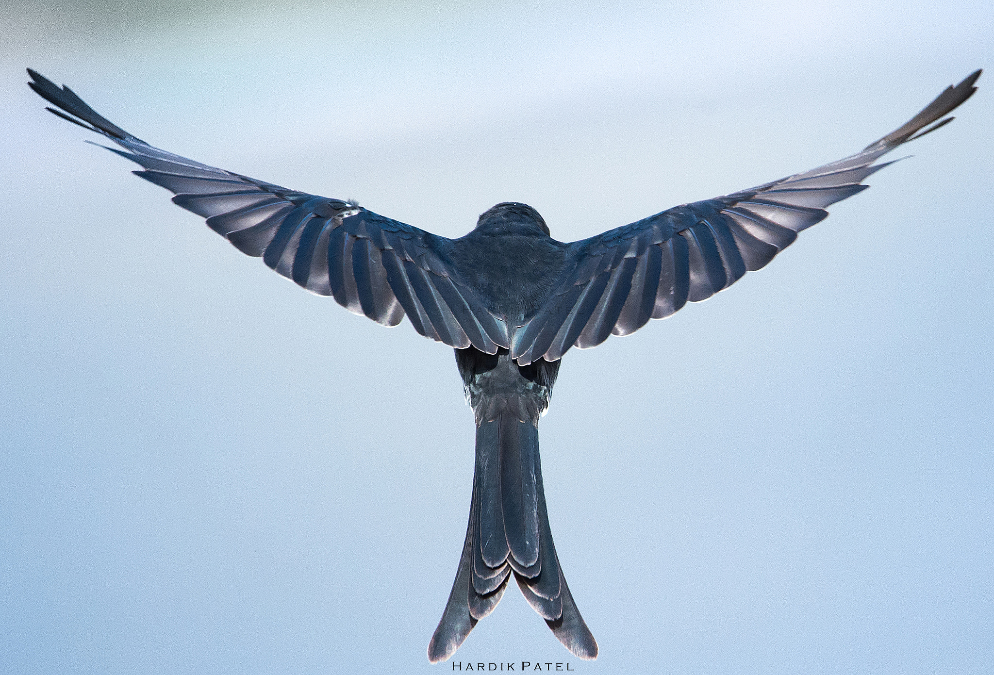 Nikon D4S sample photo. The symmetry photography