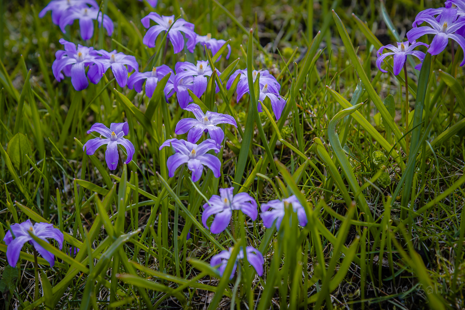 Nikon Df sample photo. идеальное сочетание цветов.  dsc_1172.jpg photography