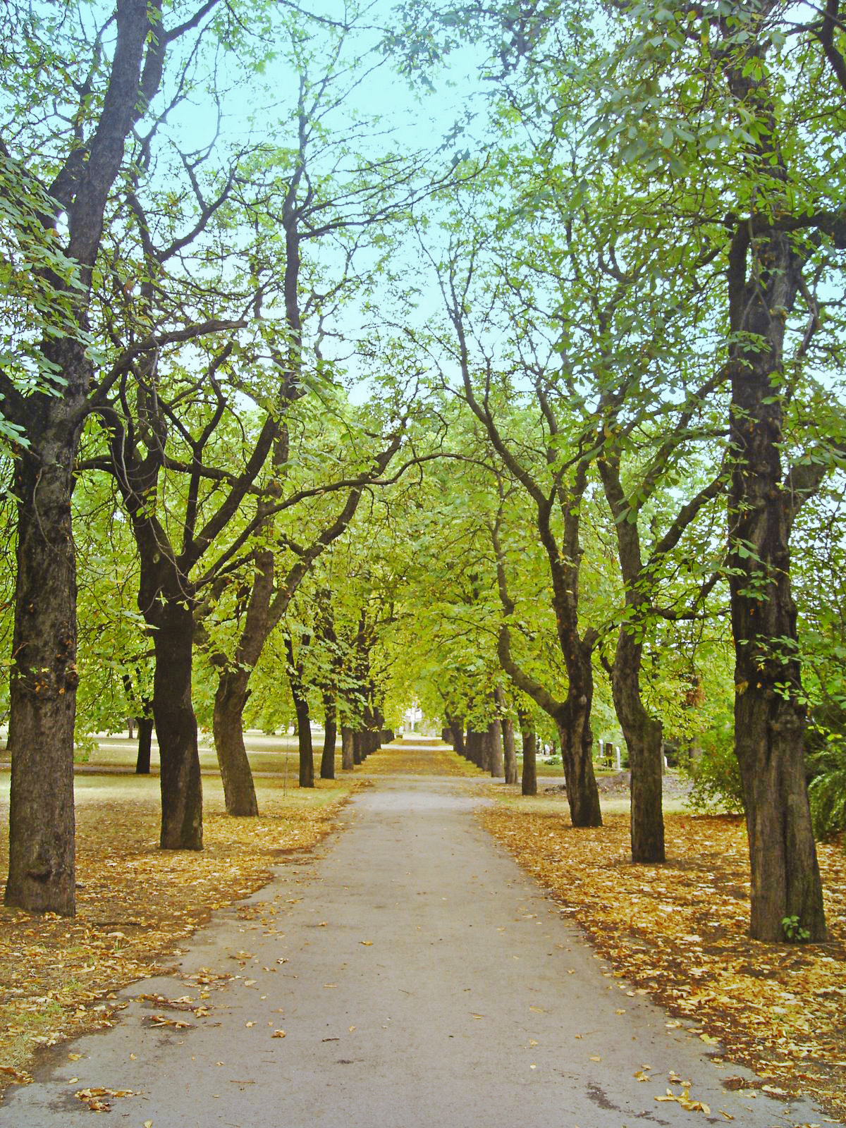 Sony DSC-P93A sample photo. Budapest photography