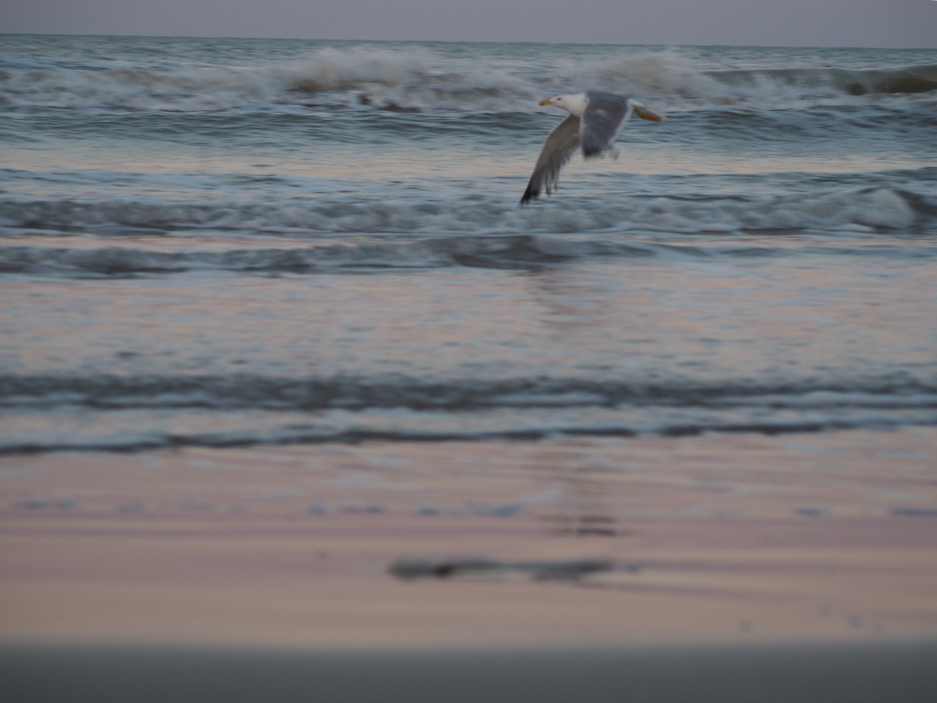 Olympus PEN E-PL7 sample photo. Comment? photography
