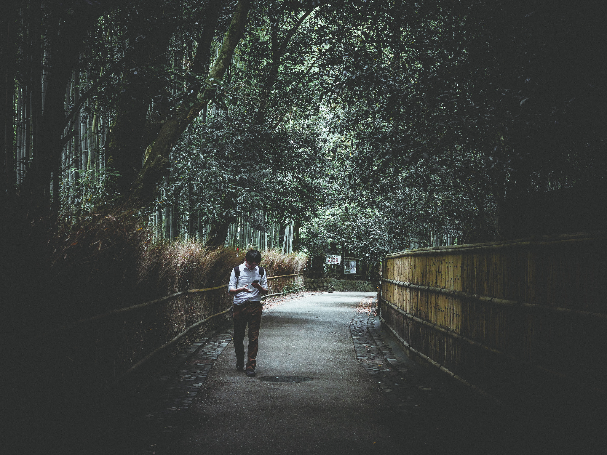Panasonic Lumix DMC-GX8 + Panasonic Leica DG Summilux 25mm F1.4 II ASPH sample photo. Bamboo path in kyoto photography