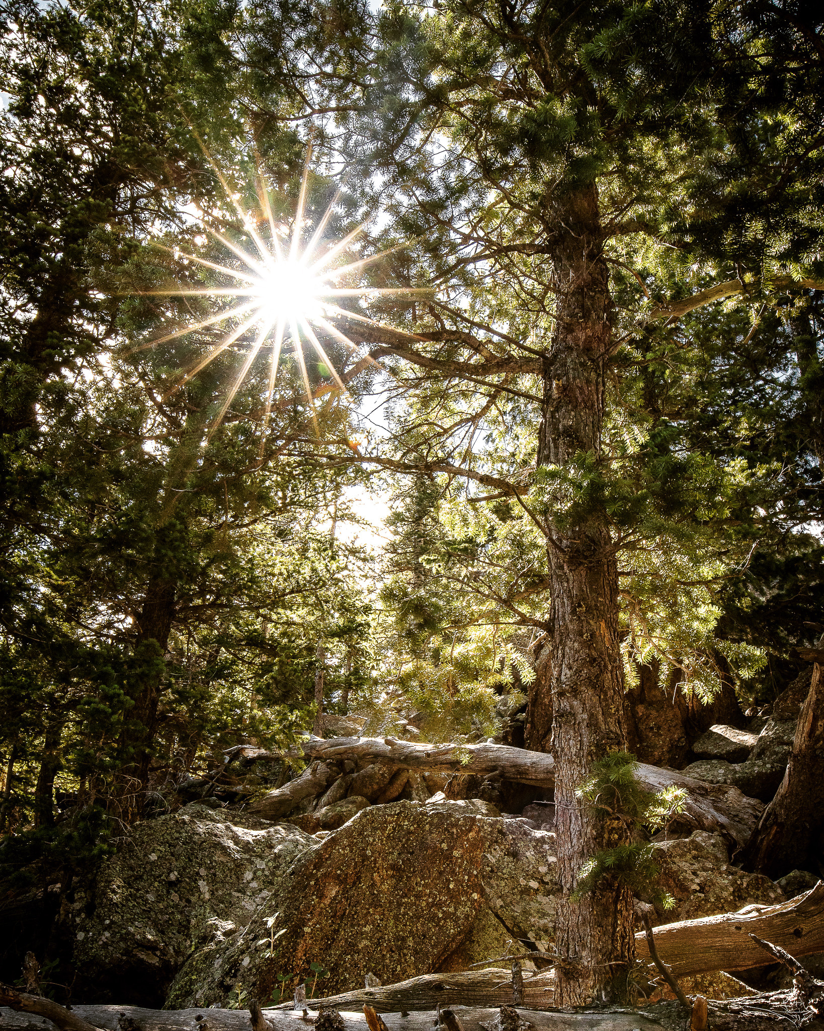 Canon EF 16-35mm F4L IS USM sample photo. Many parks curve photography