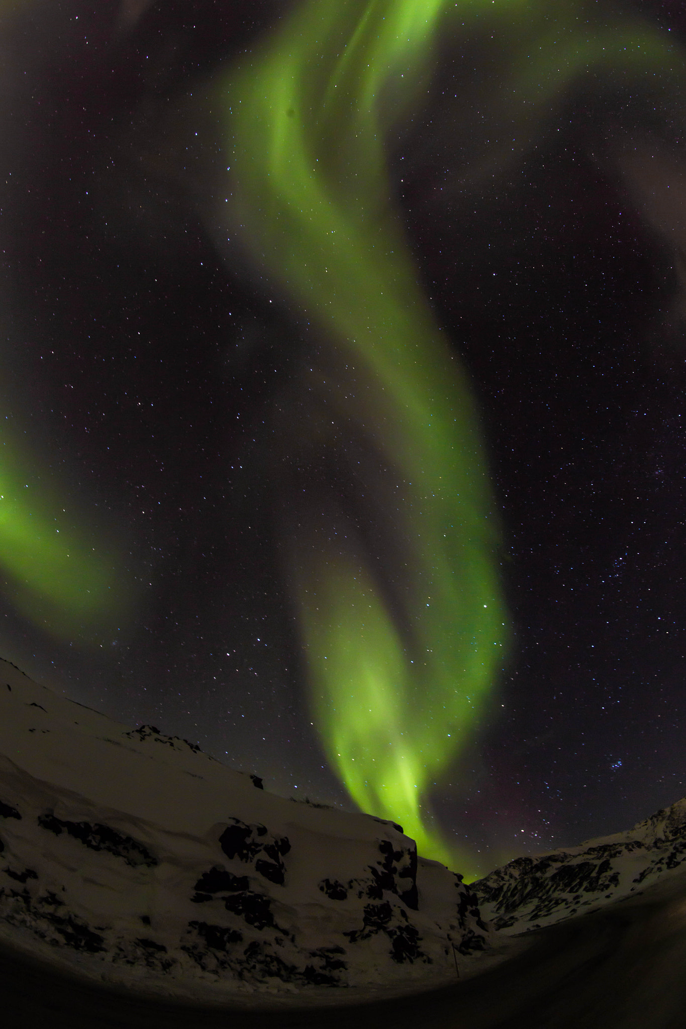 Canon EF 8-15mm F4L Fisheye USM sample photo. Green smoke photography