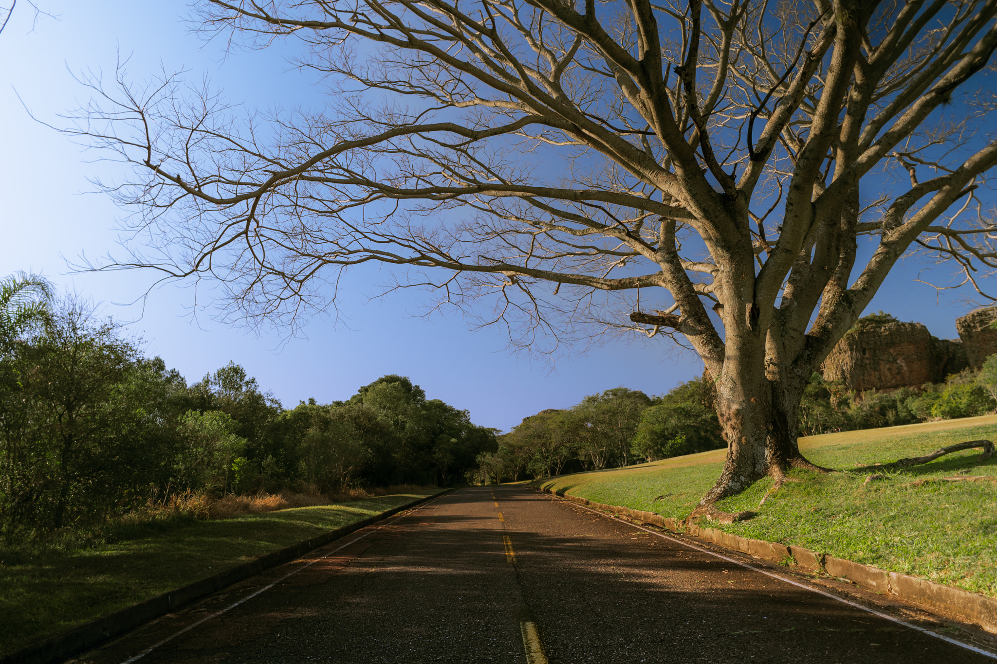 Samsung NX1 + Samsung NX 16mm F2.4 Pancake sample photo. Caminho da natureza photography