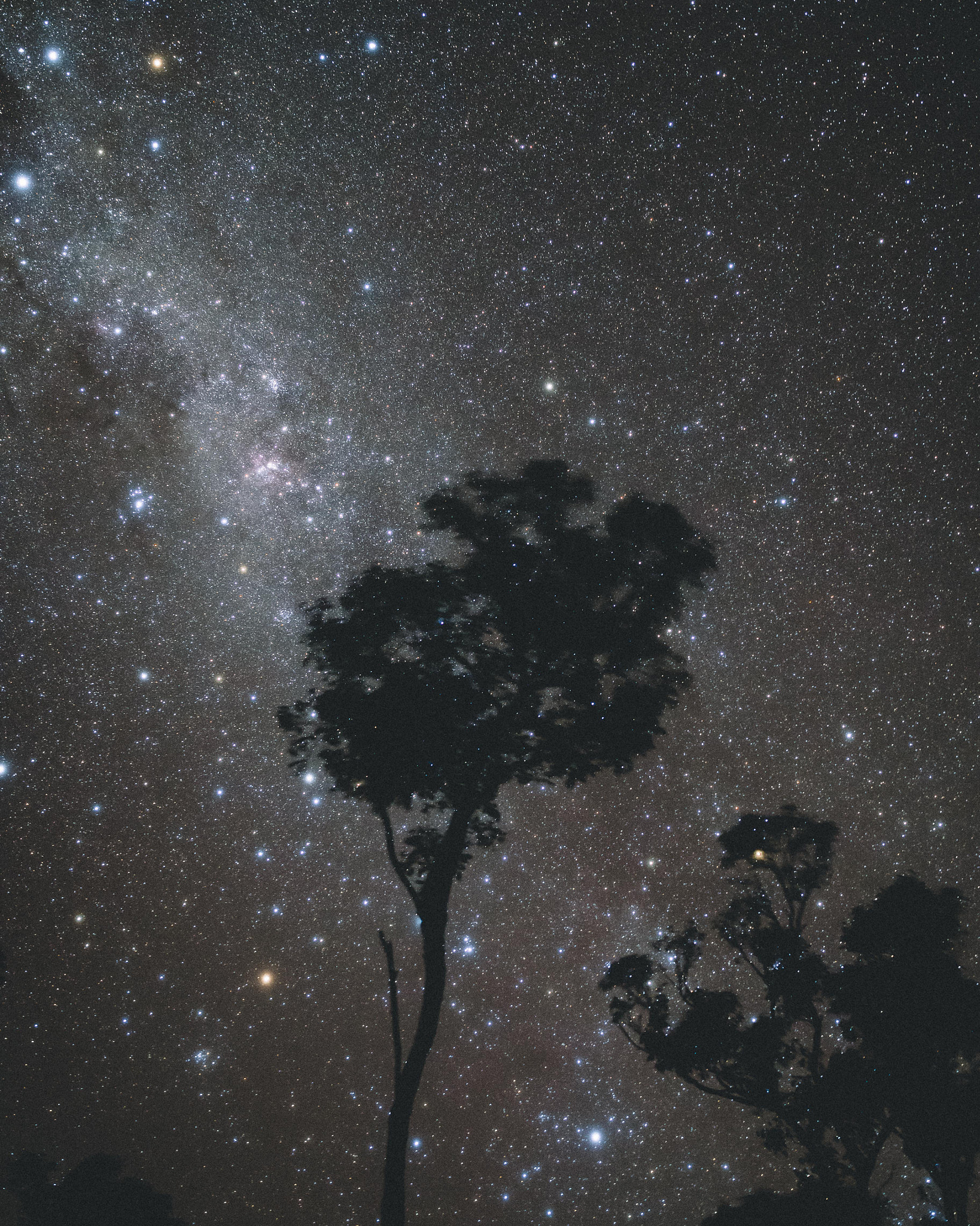 Sigma 24mm F1.4 DG HSM Art sample photo. I had that dream a thousand times. photography