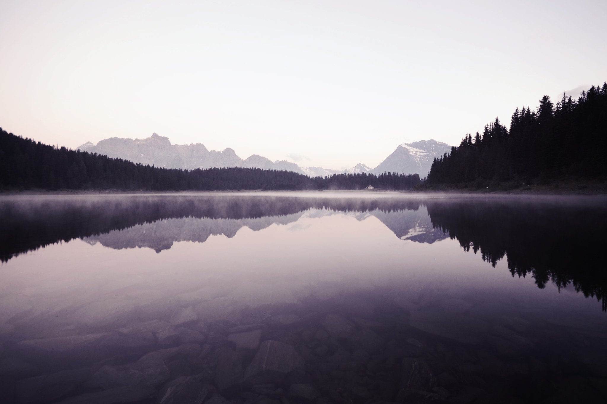 Nikon D3100 + Sigma 50mm F1.4 EX DG HSM sample photo. Lago palù - valmalenco photography