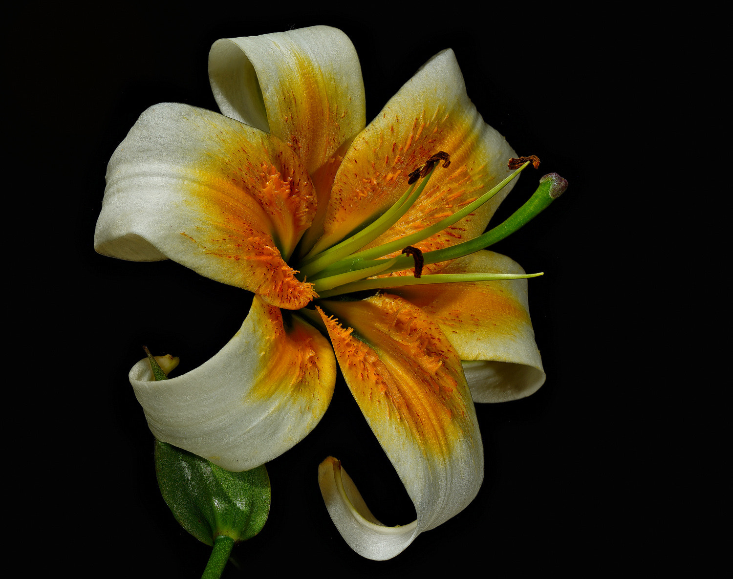 100mm F2.8 SSM sample photo. Heloise portrait photography