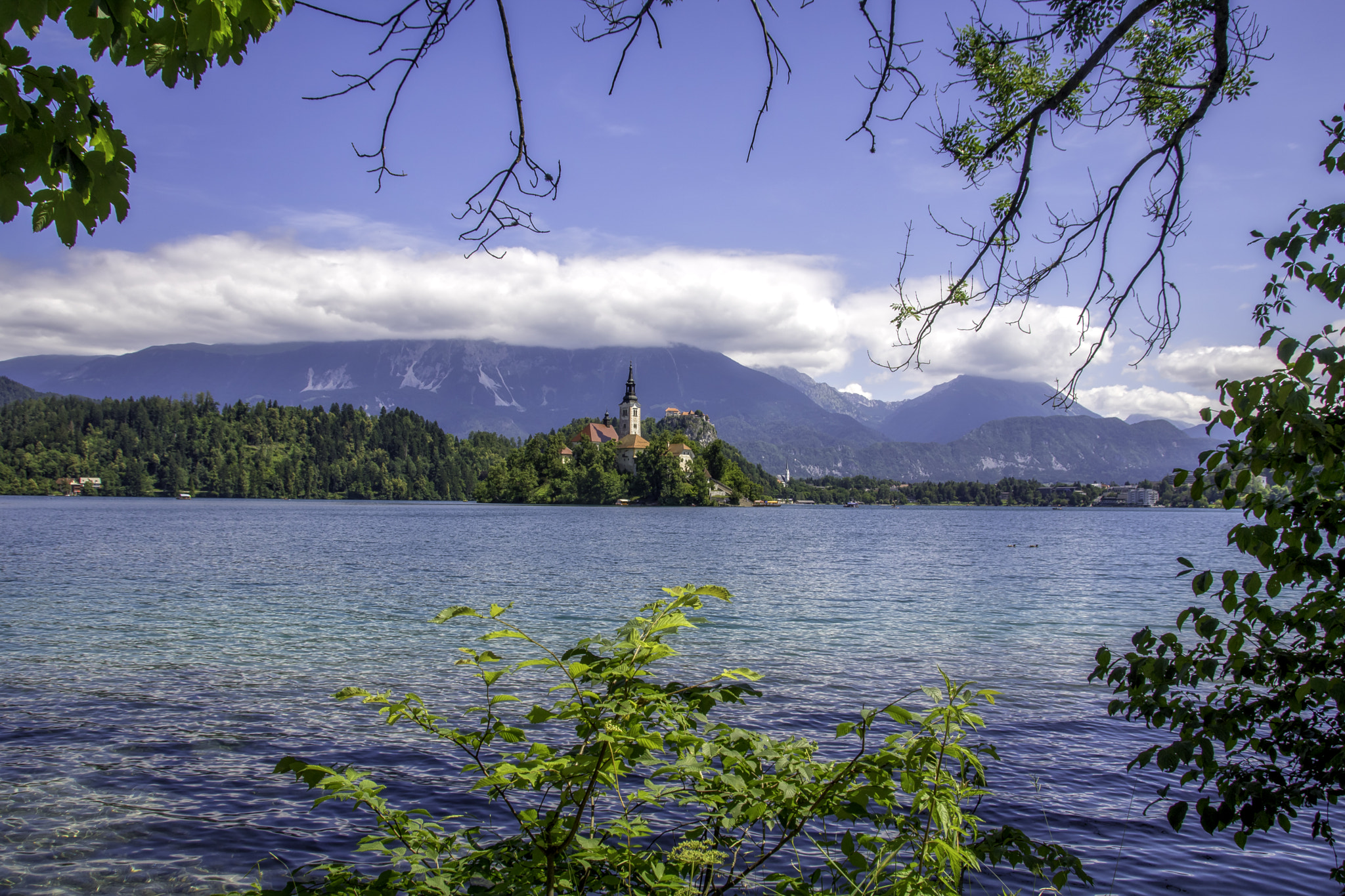 Sigma 18-250mm F3.5-6.3 DC OS HSM sample photo. Lake bled summertime photography