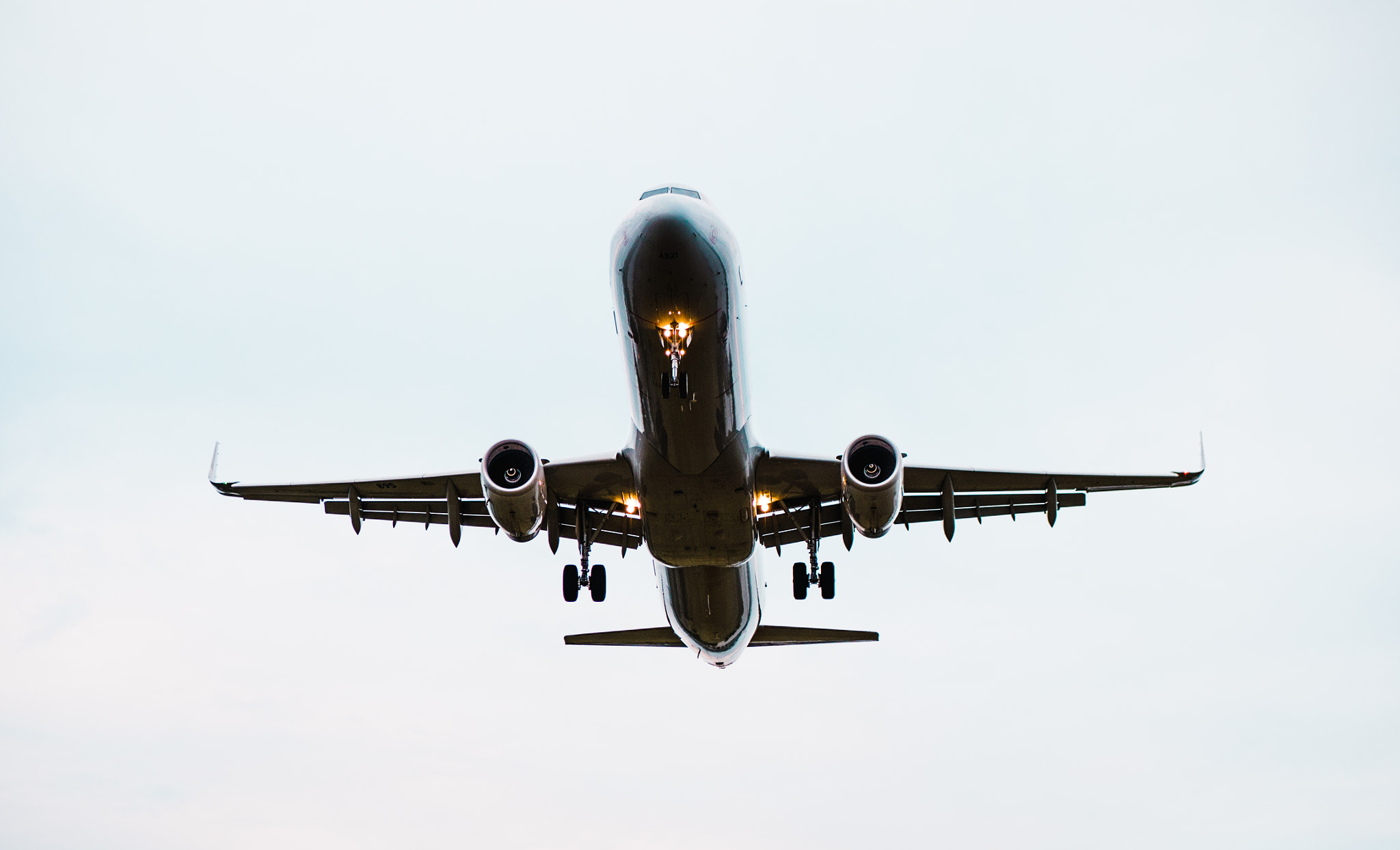 Panasonic Leica DG Nocticron 42.5mm F1.2 ASPH OIS sample photo. Flying bird. photography