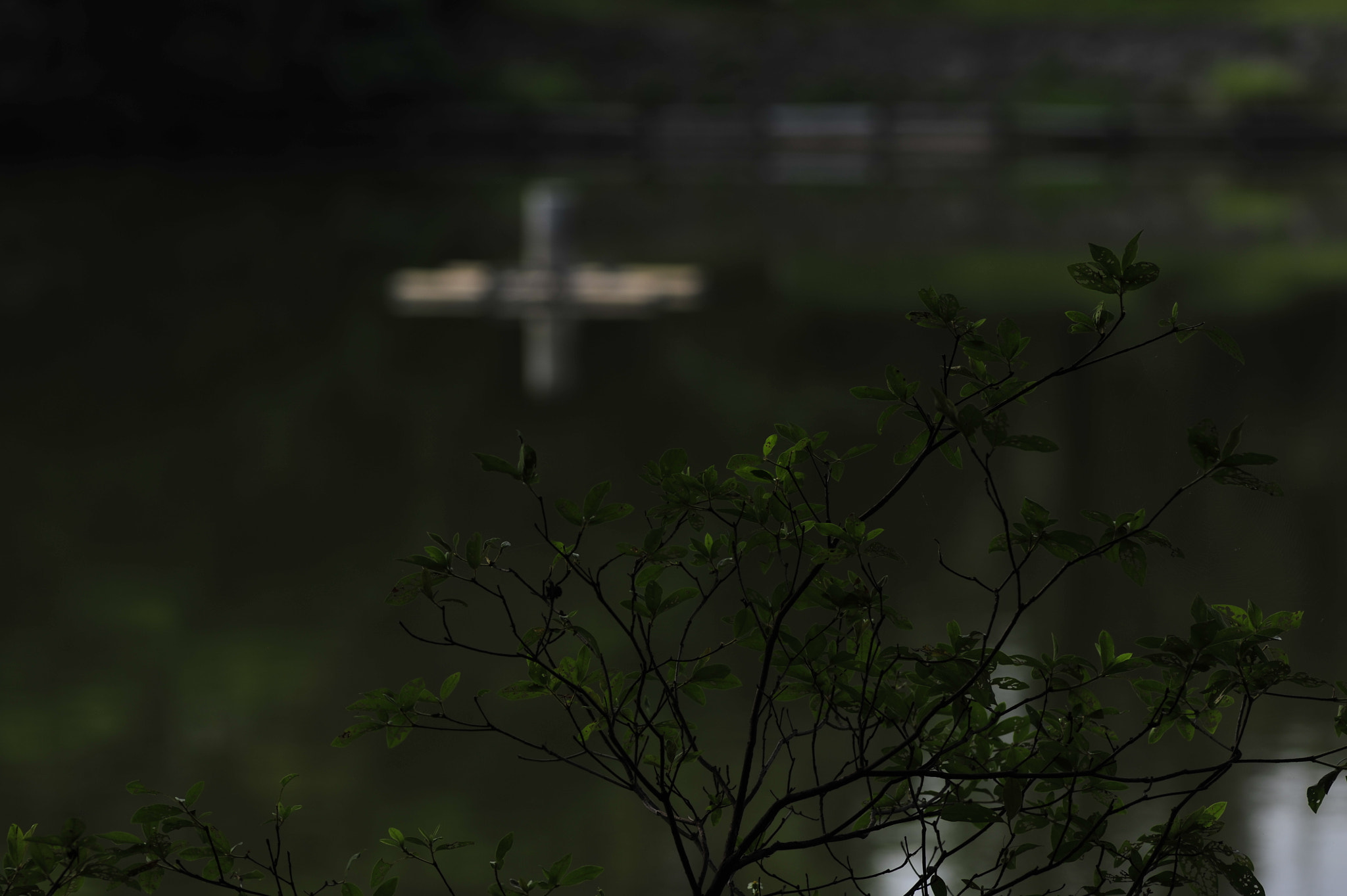 Nikon D3 + Nikon AF Nikkor 180mm F2.8D ED-IF sample photo. .. photography
