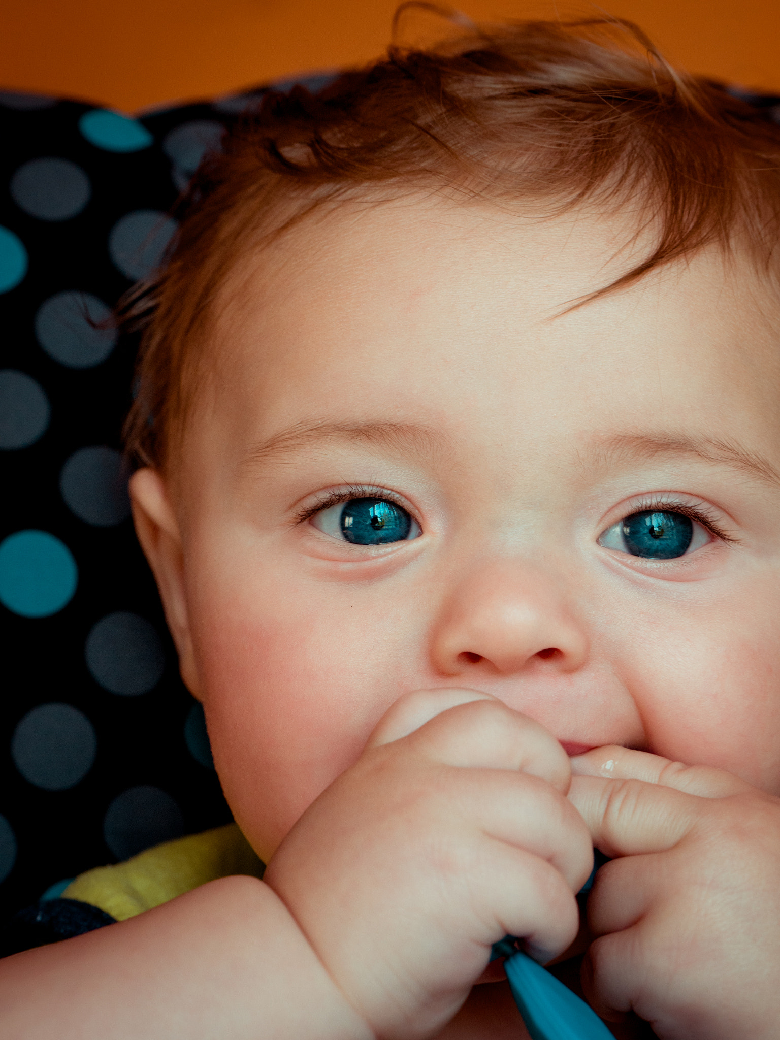 Panasonic Leica DG Nocticron 42.5mm F1.2 ASPH OIS sample photo. Enzo's gaze photography