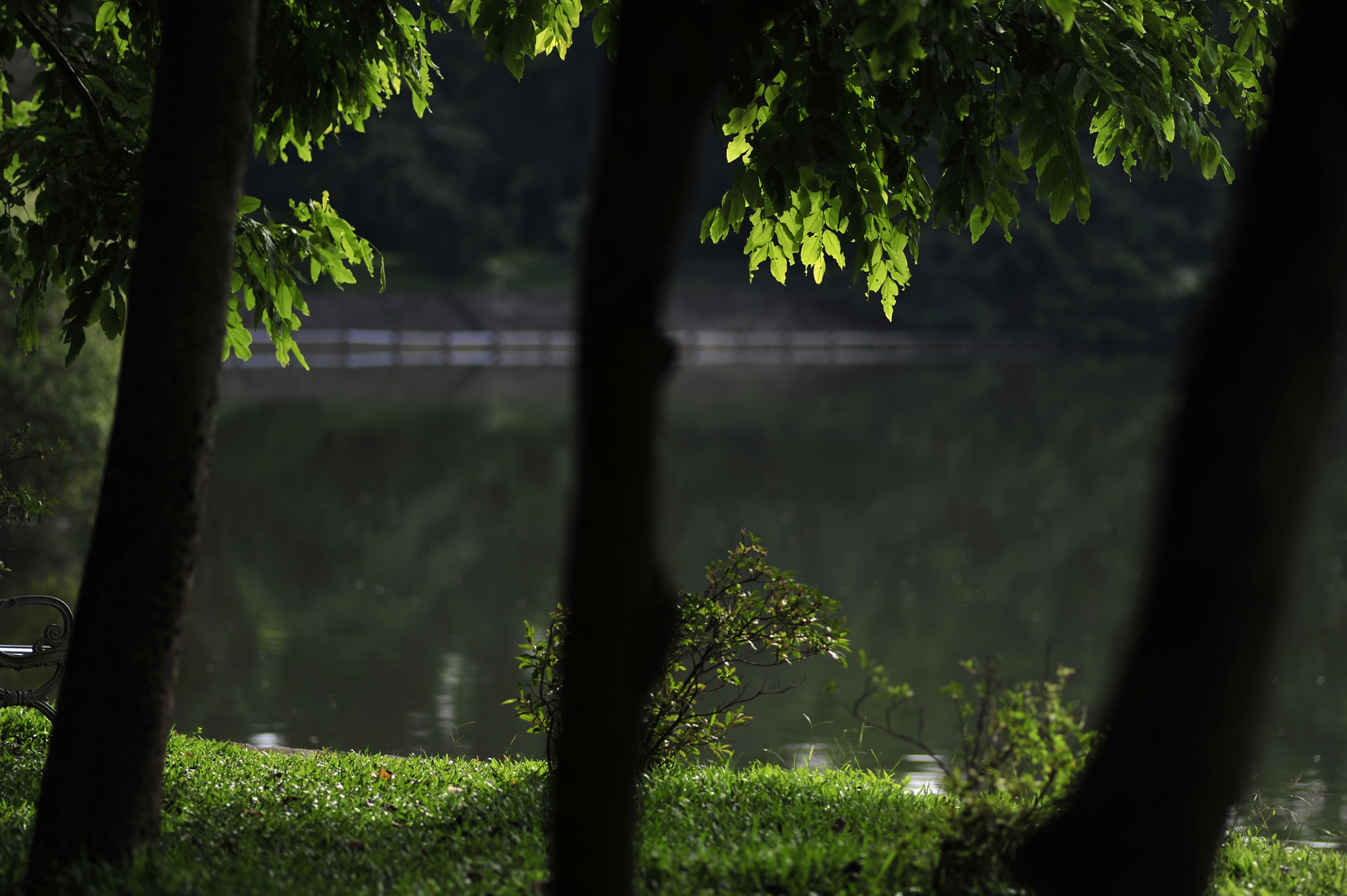Nikon D3 + Nikon AF Nikkor 180mm F2.8D ED-IF sample photo. .. photography
