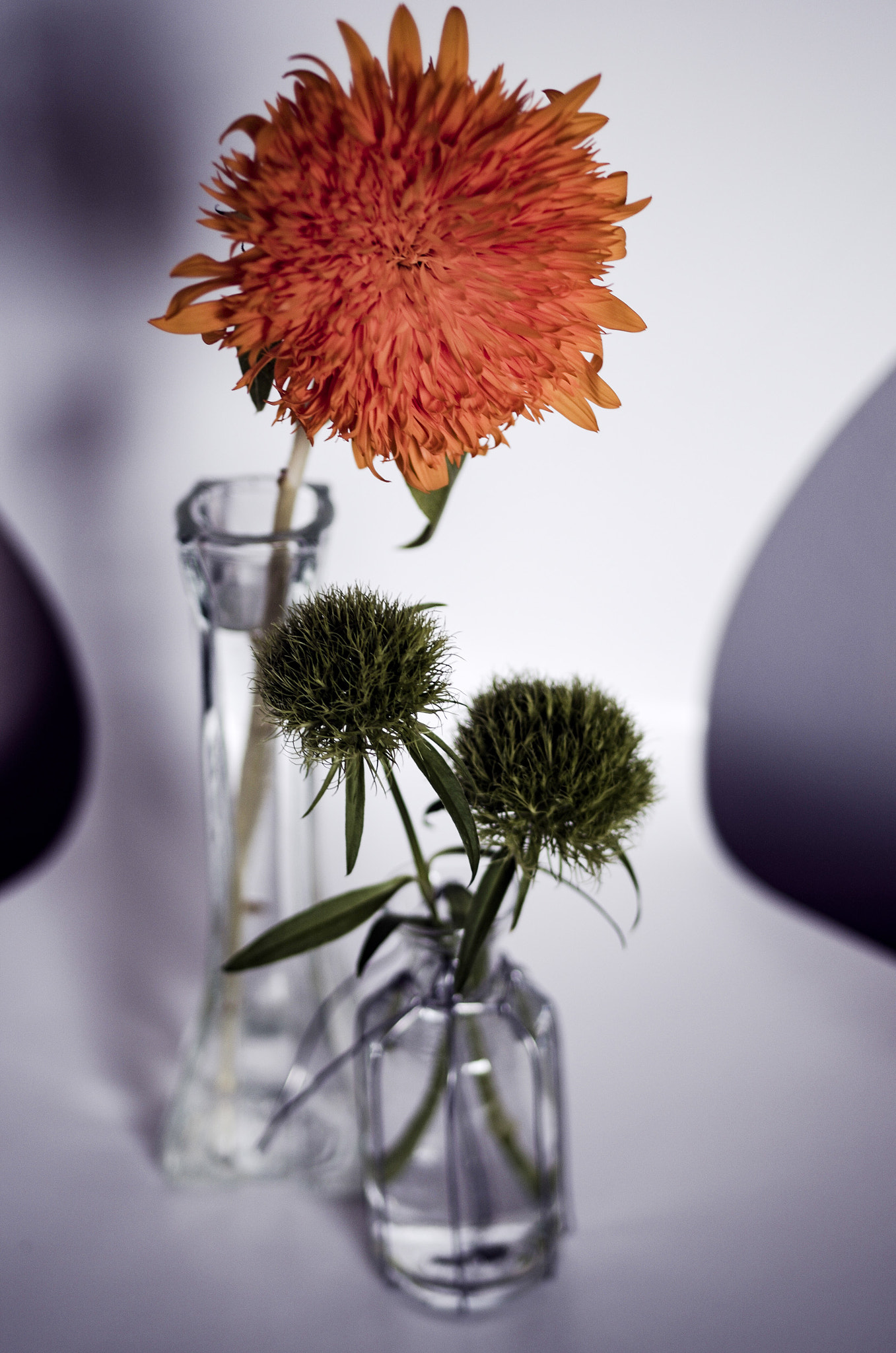 HD Pentax-FA 35mm F2 AL sample photo. Flowers photography