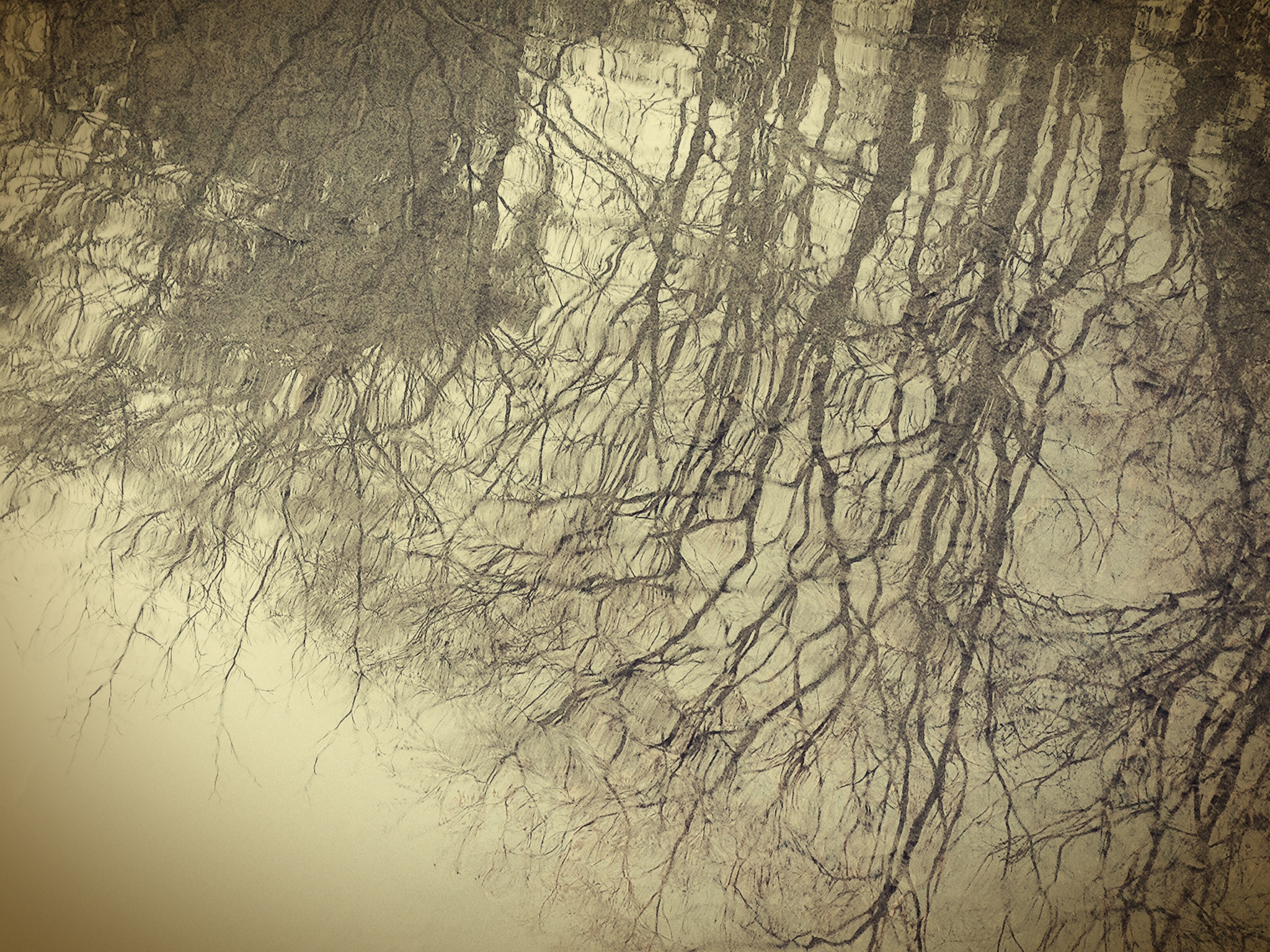 Blux Touch Blux Pro V1.1.1 sample photo. Another beauty photography