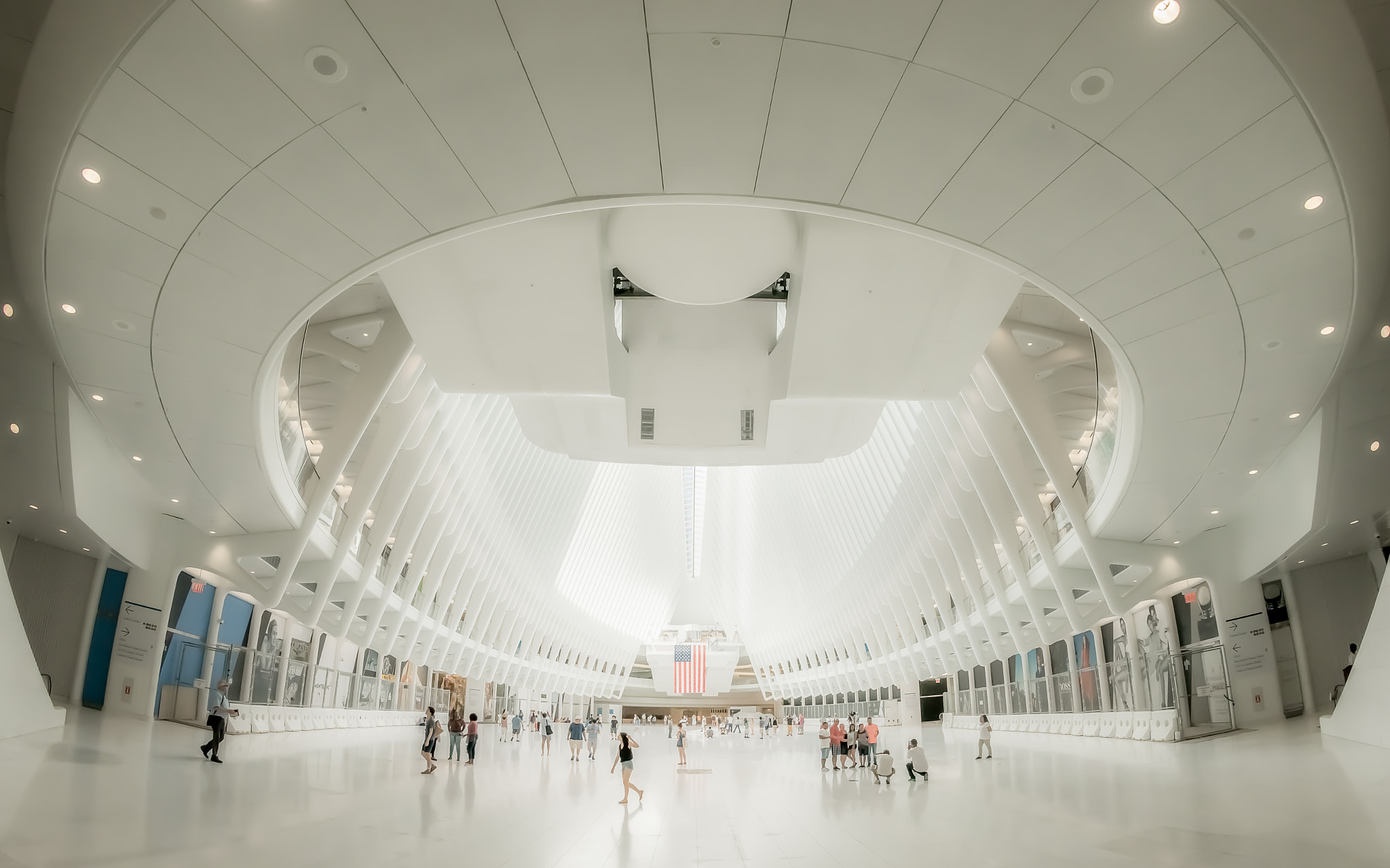 Nikon D800 + Nikon AF Fisheye-Nikkor 16mm F2.8D sample photo. The oculus photography
