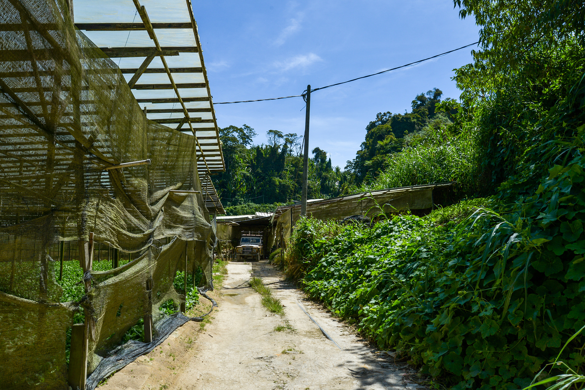 AF Zoom-Nikkor 28-80mm f/3.3-5.6G sample photo. A journey to the farm photography