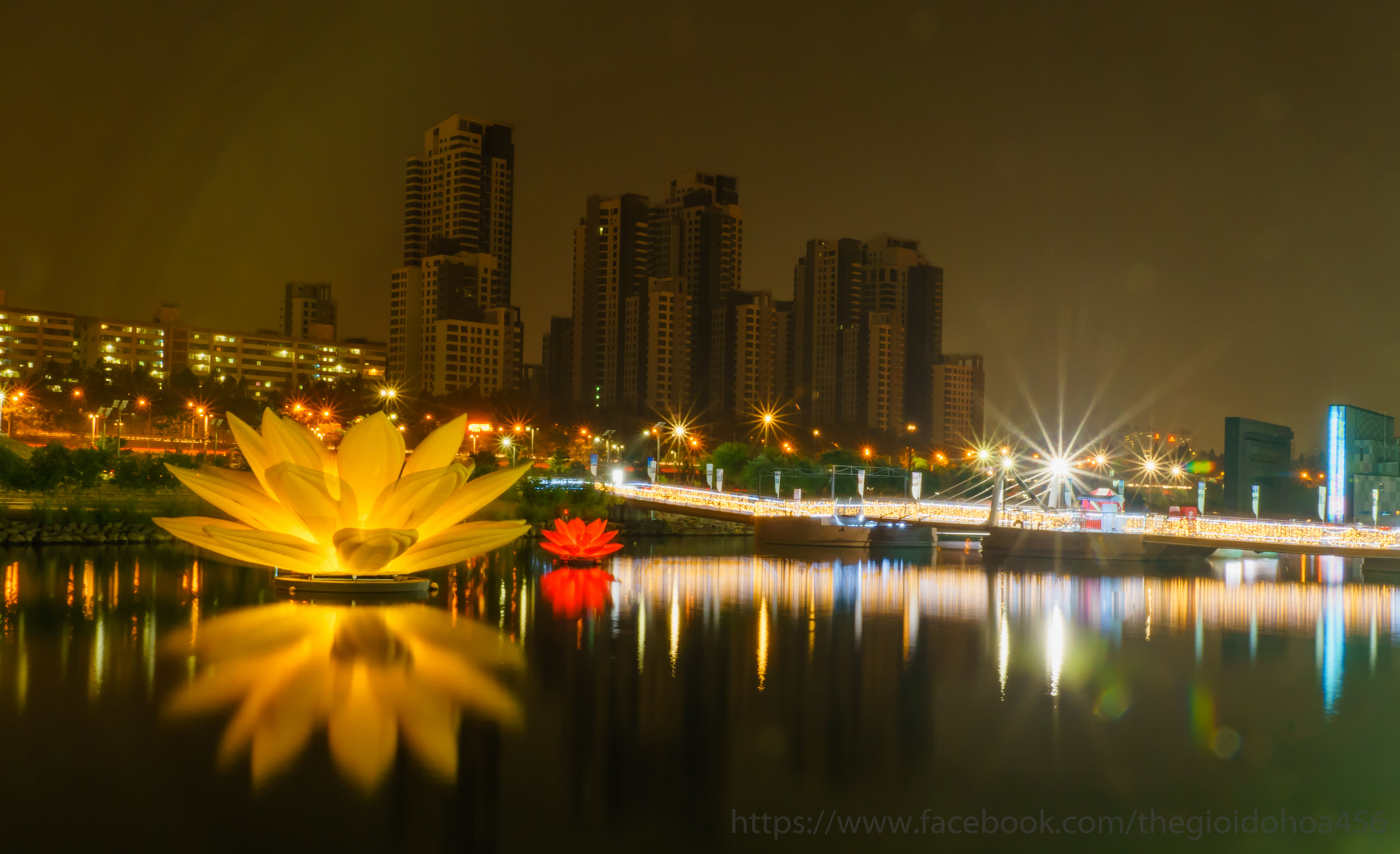 Sony a7 II + Sony DT 16-50mm F2.8 SSM sample photo. _dsc4250-2.jpg photography