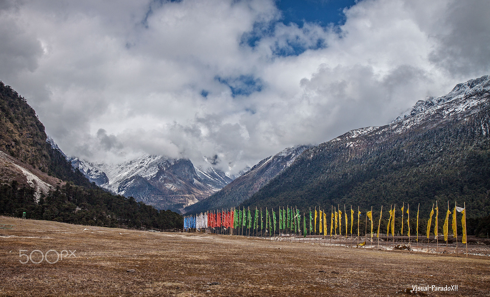 Canon EOS 500D (EOS Rebel T1i / EOS Kiss X3) sample photo. Yumthang valley photography