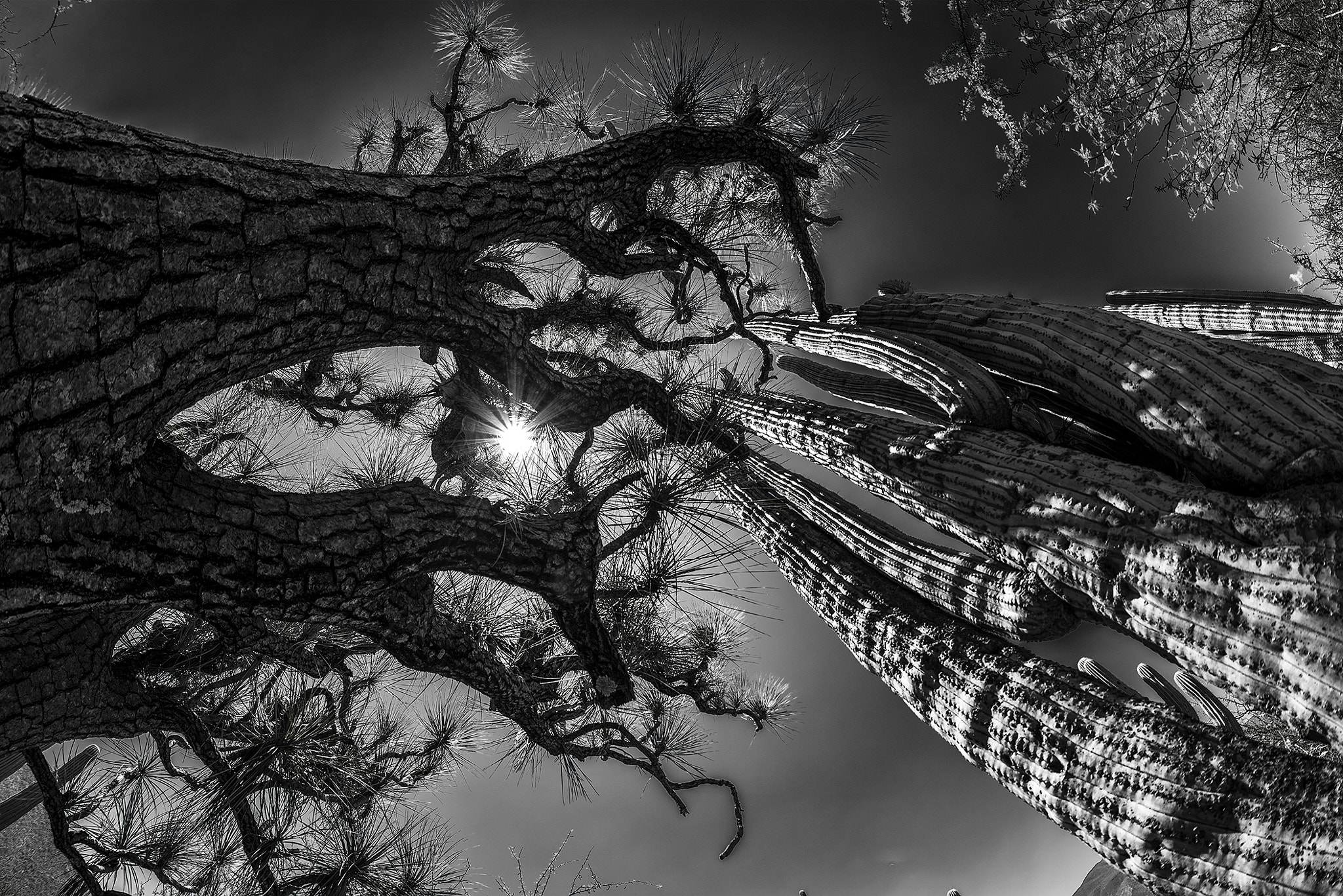Samyang 12mm F2.8 ED AS NCS Fisheye sample photo. Dualidad photography