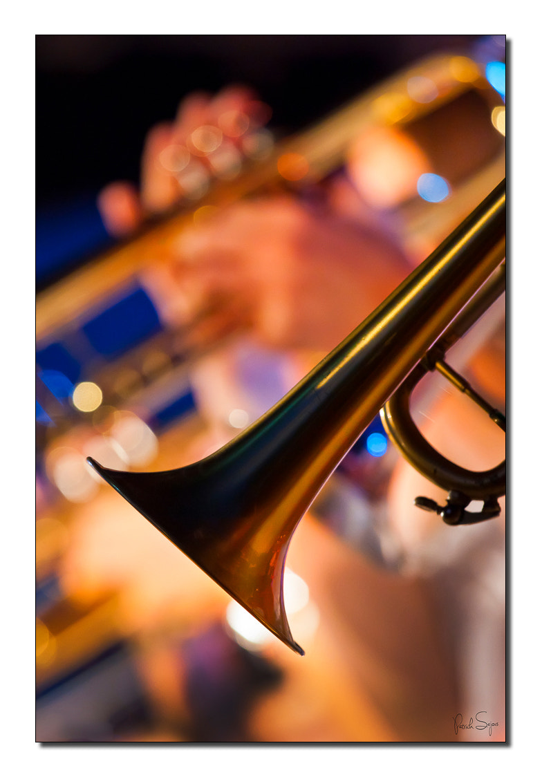 Canon EOS-1D Mark III sample photo. Jazz à valbonne photography