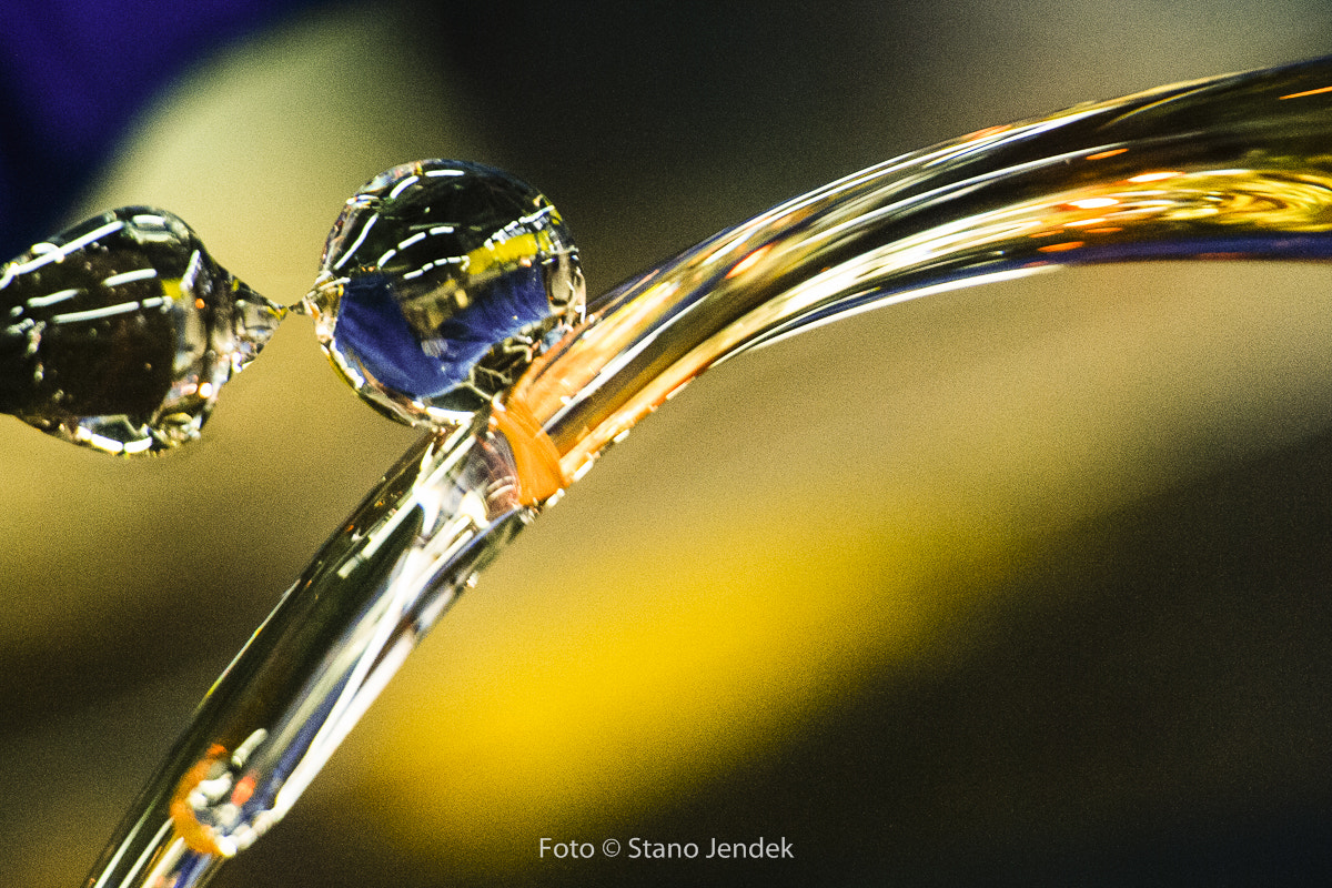 Nikon D3X sample photo. Sklo rona photography