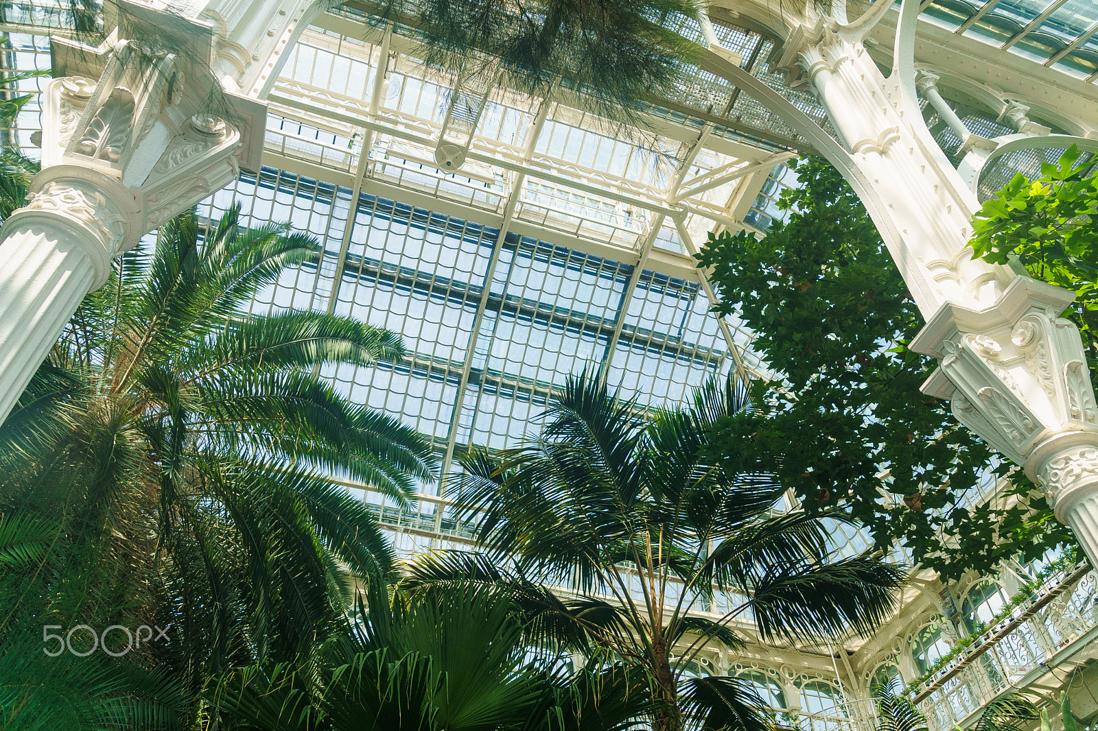 Tamron 18-270mm F3.5-6.3 Di II PZD sample photo. Wien - schönbrunn - palmenhaus photography