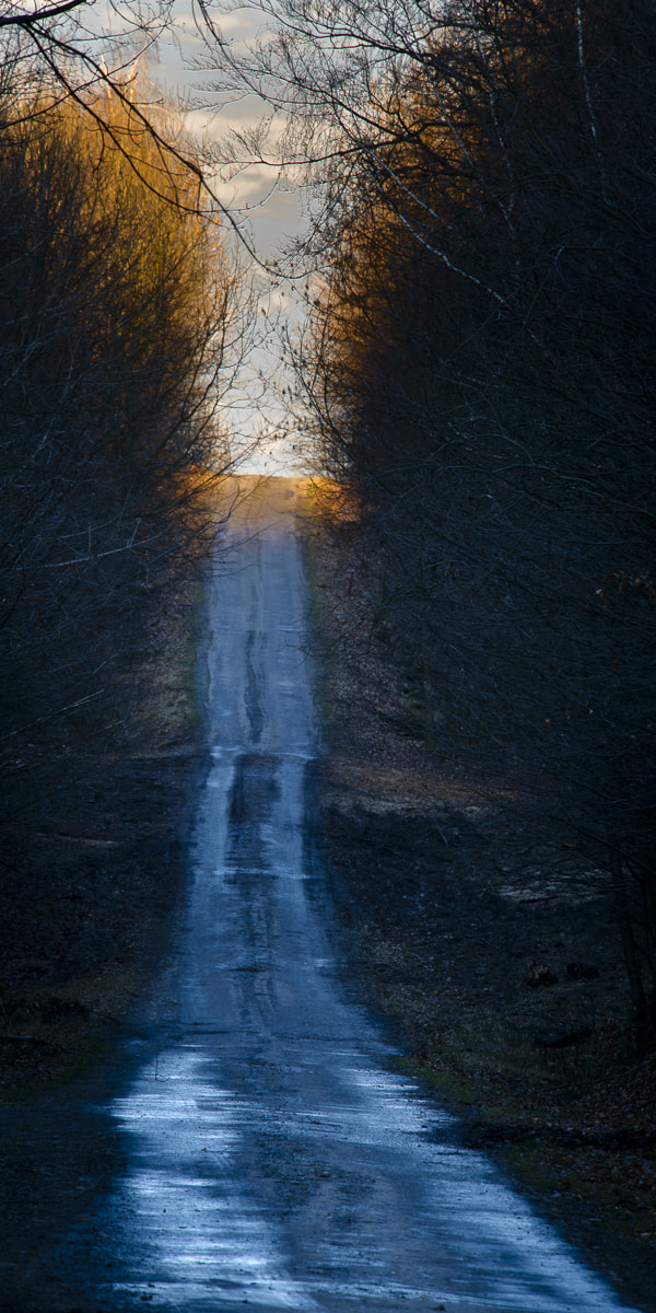 Nikon D800E sample photo. Les male karpaty svaty jur x photography