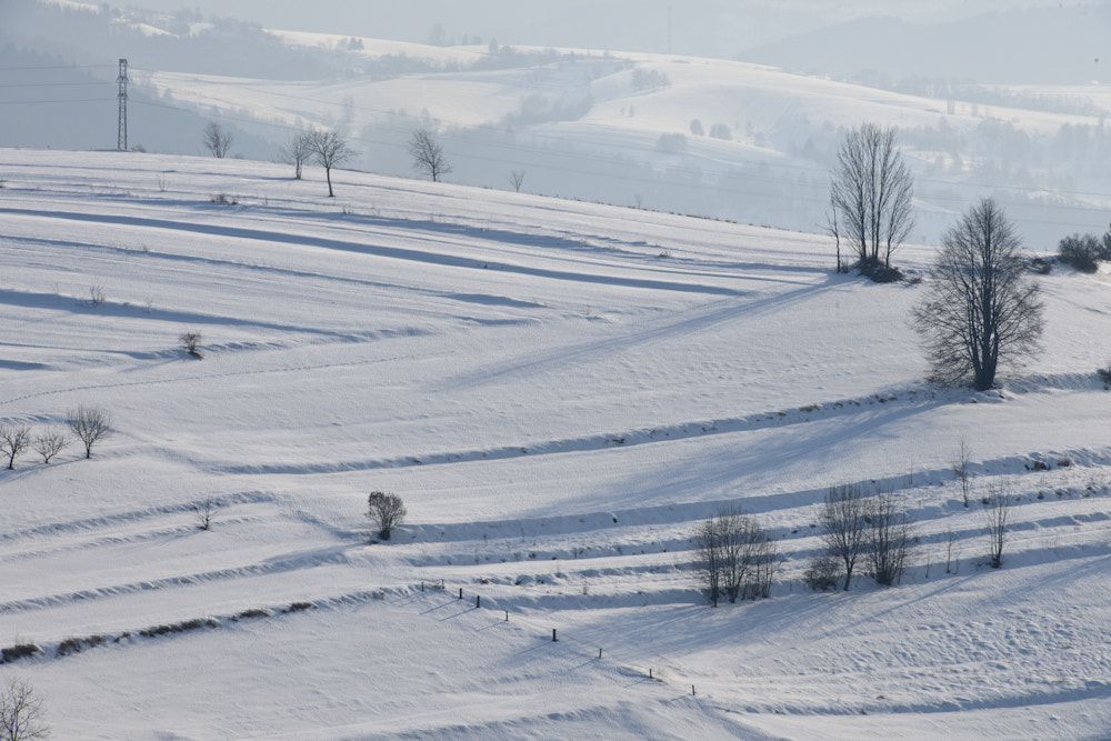 Nikon D3X sample photo. Hrinova zima photography