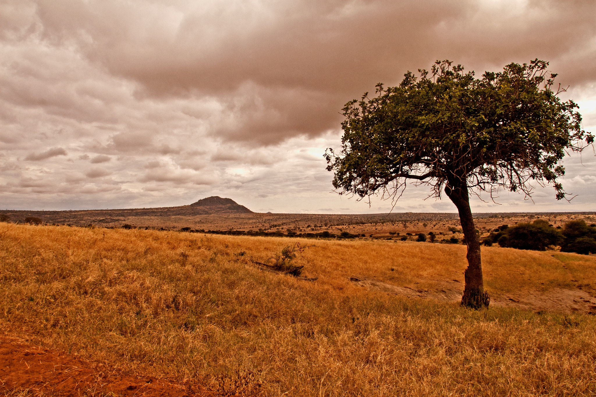 Canon EOS 30D + Canon EF 17-35mm f/2.8L sample photo. Kenia tsavo make with polfilter photography