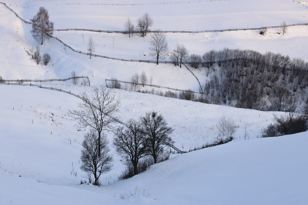 Nikon D3X sample photo. Hrinova zima photography