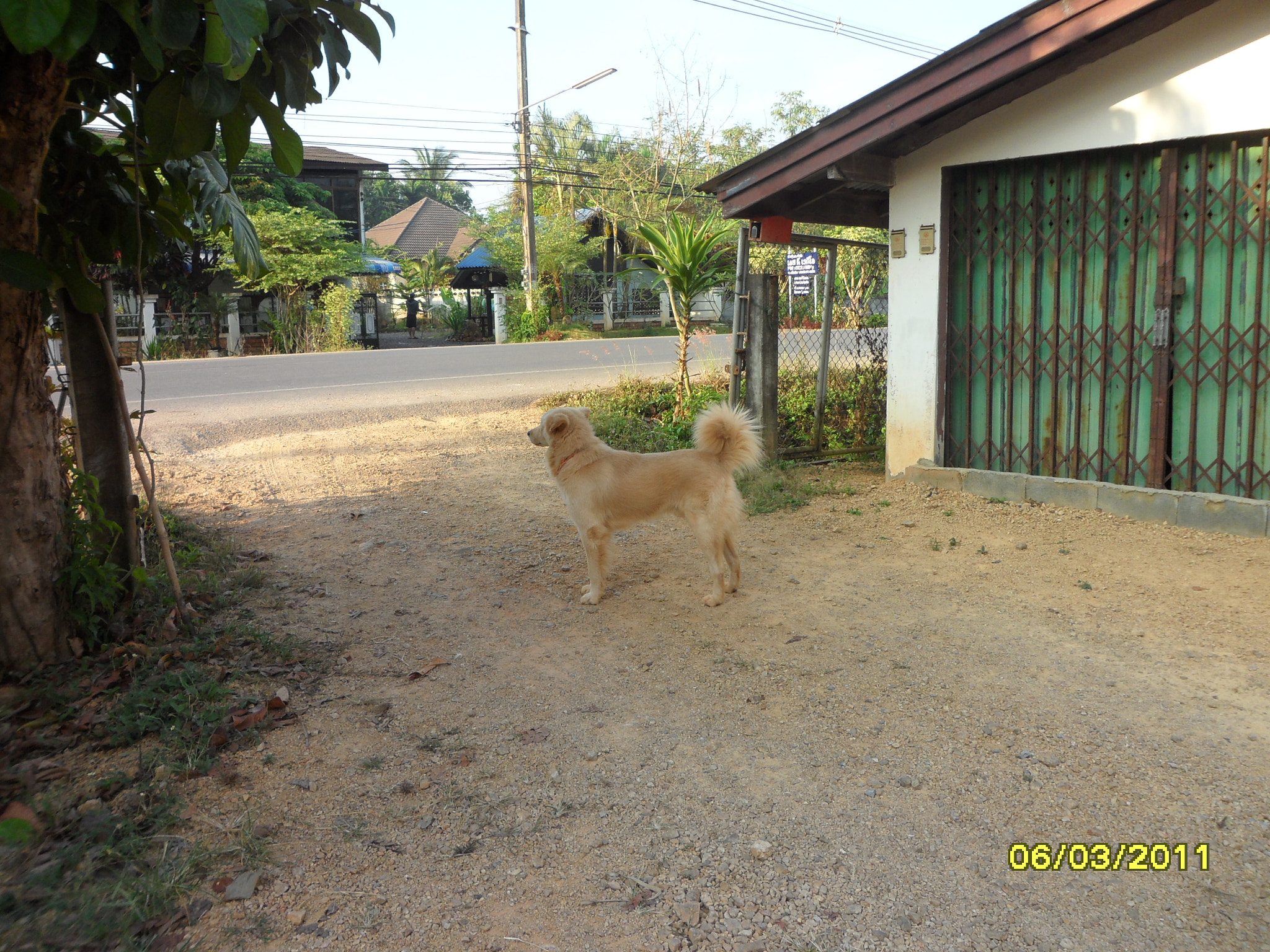 Samsung PL150 / VLUU PL150 /  TL210 /  PL151 sample photo. Old house photography