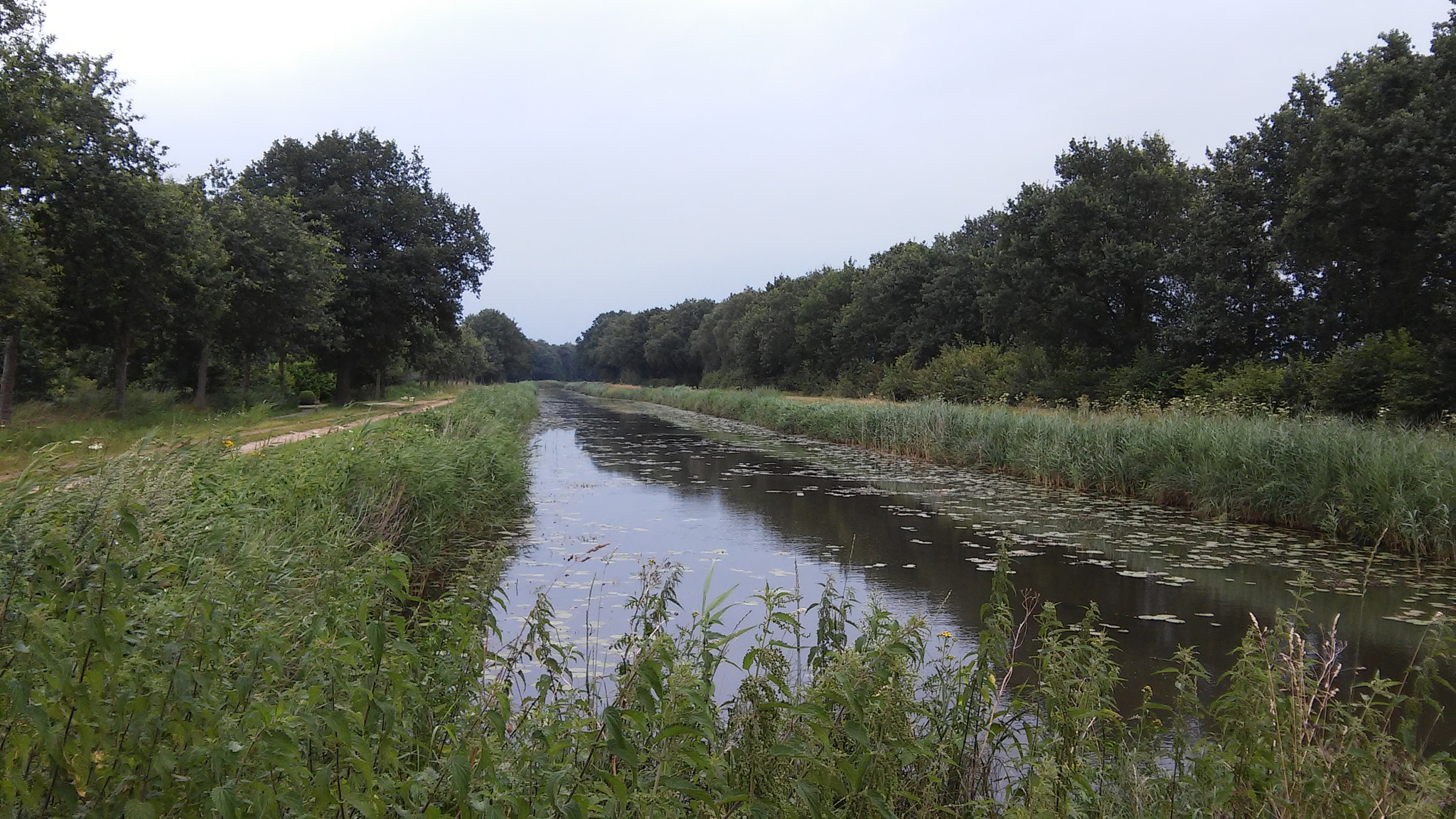 LG D405N sample photo. Canal to lemelerveld photography