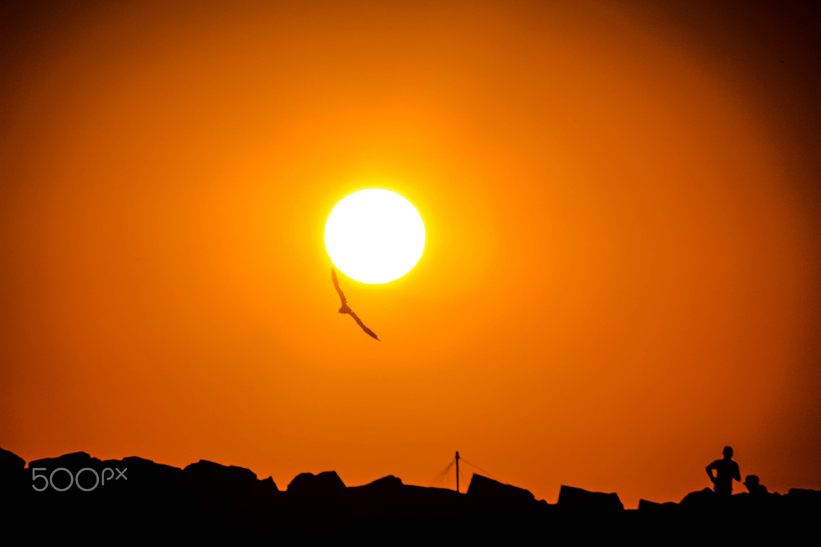 Canon EF 100-300mm f/5.6 sample photo. Silhouette photography