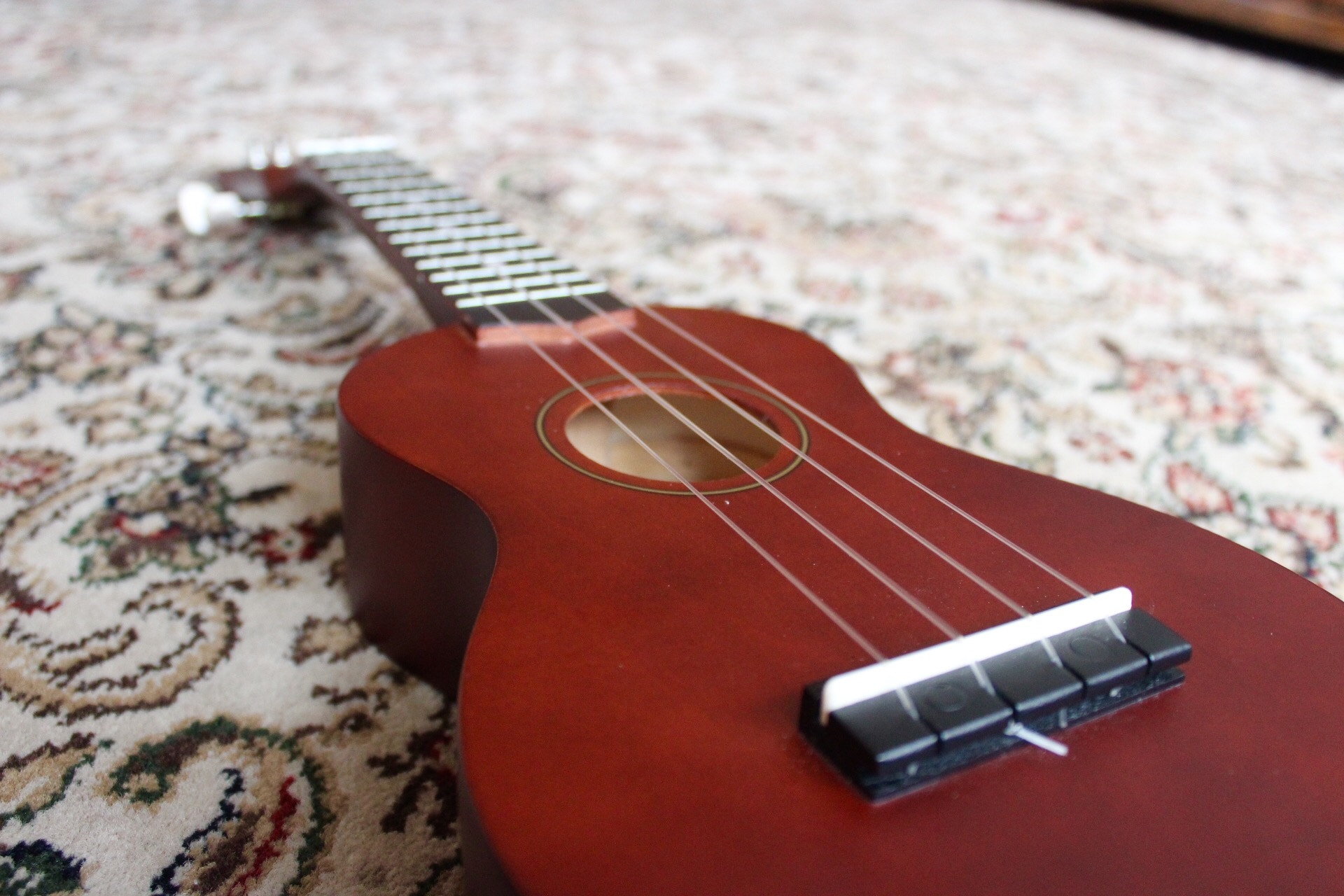 Canon EF-S 18-55mm F3.5-5.6 III sample photo. Ukulele photography